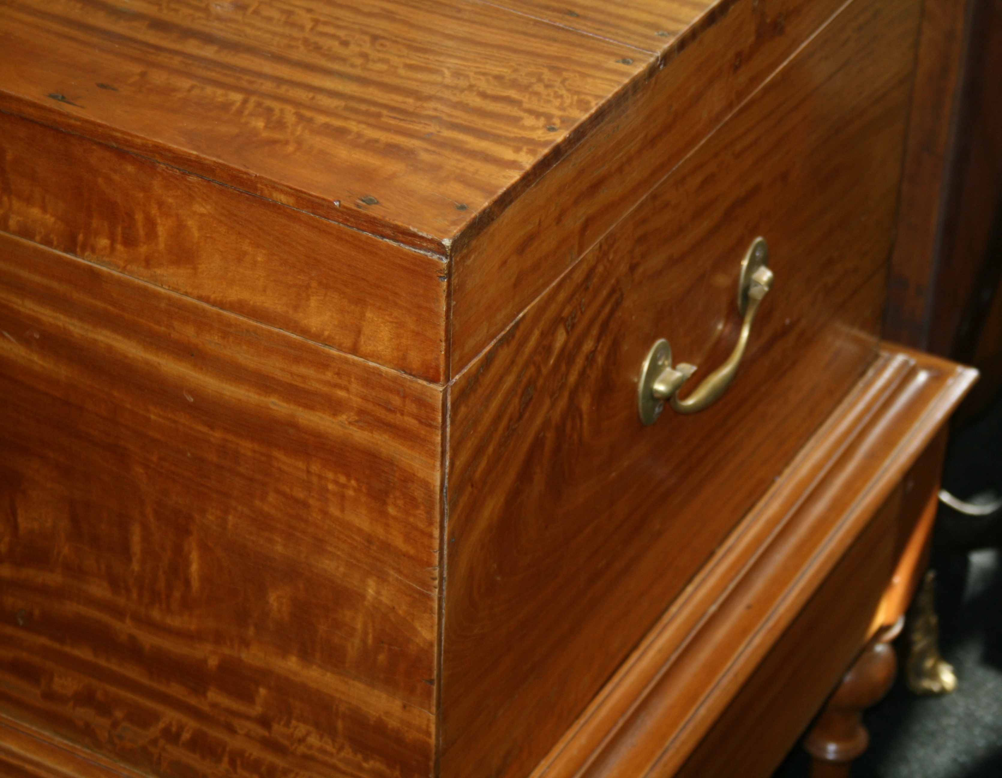 George IV Solid Satinwood Silver Chest on Stand