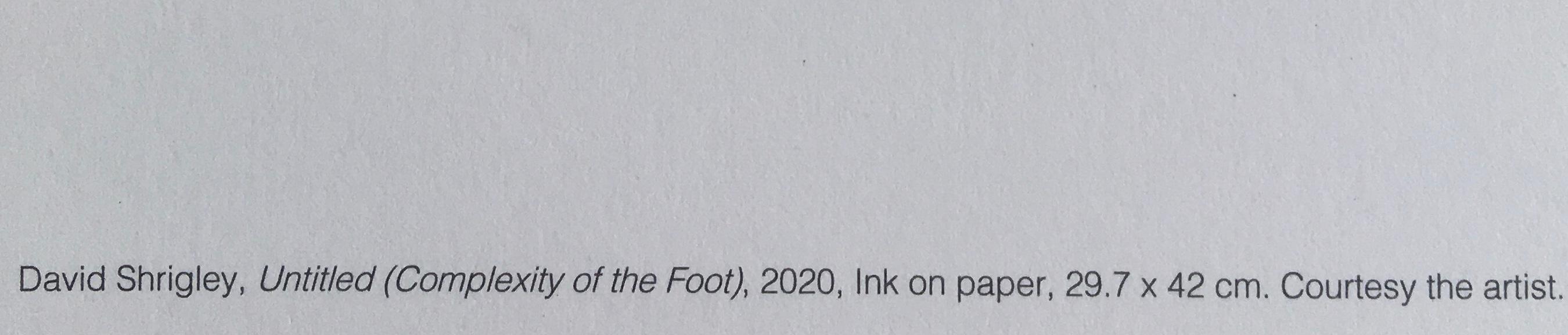 David Shrigley OBE (b 1968)‘Complexity of The Foot’ Offset Lithograph, Ltd Edition of 350, COA, 2020
