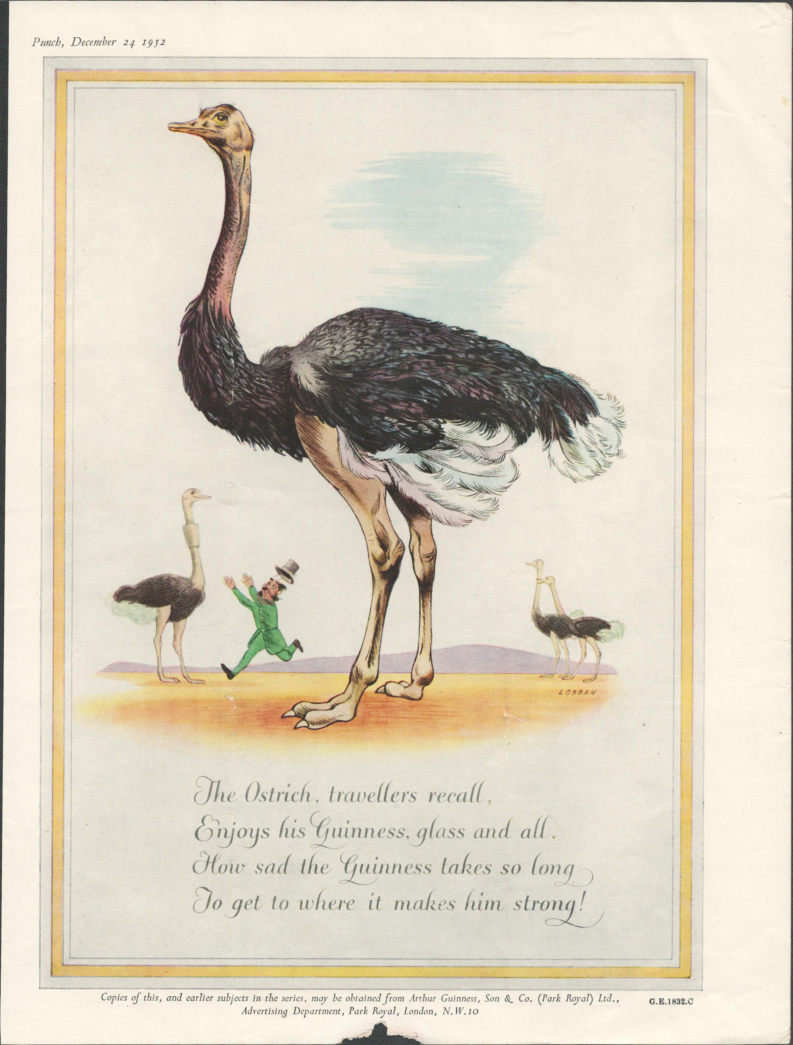 Original 1952 Guinness Print The Ostrich-G.E. 1832.CThis Print Is Over 60 Years Old And Is Not A