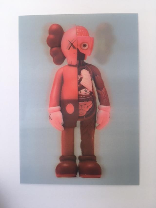 Kaws (b.1974) Import, 3D Lenticular Image Flayed Companion In Blush, Exhibition At NGV, Framed, 2019