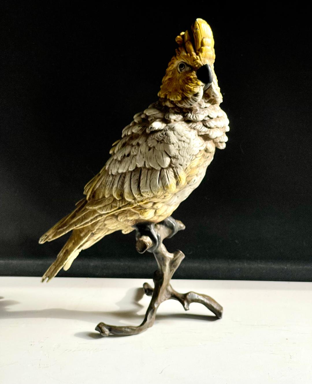 Cold Painted Bronze Bergman Fogure of a Cockatoo