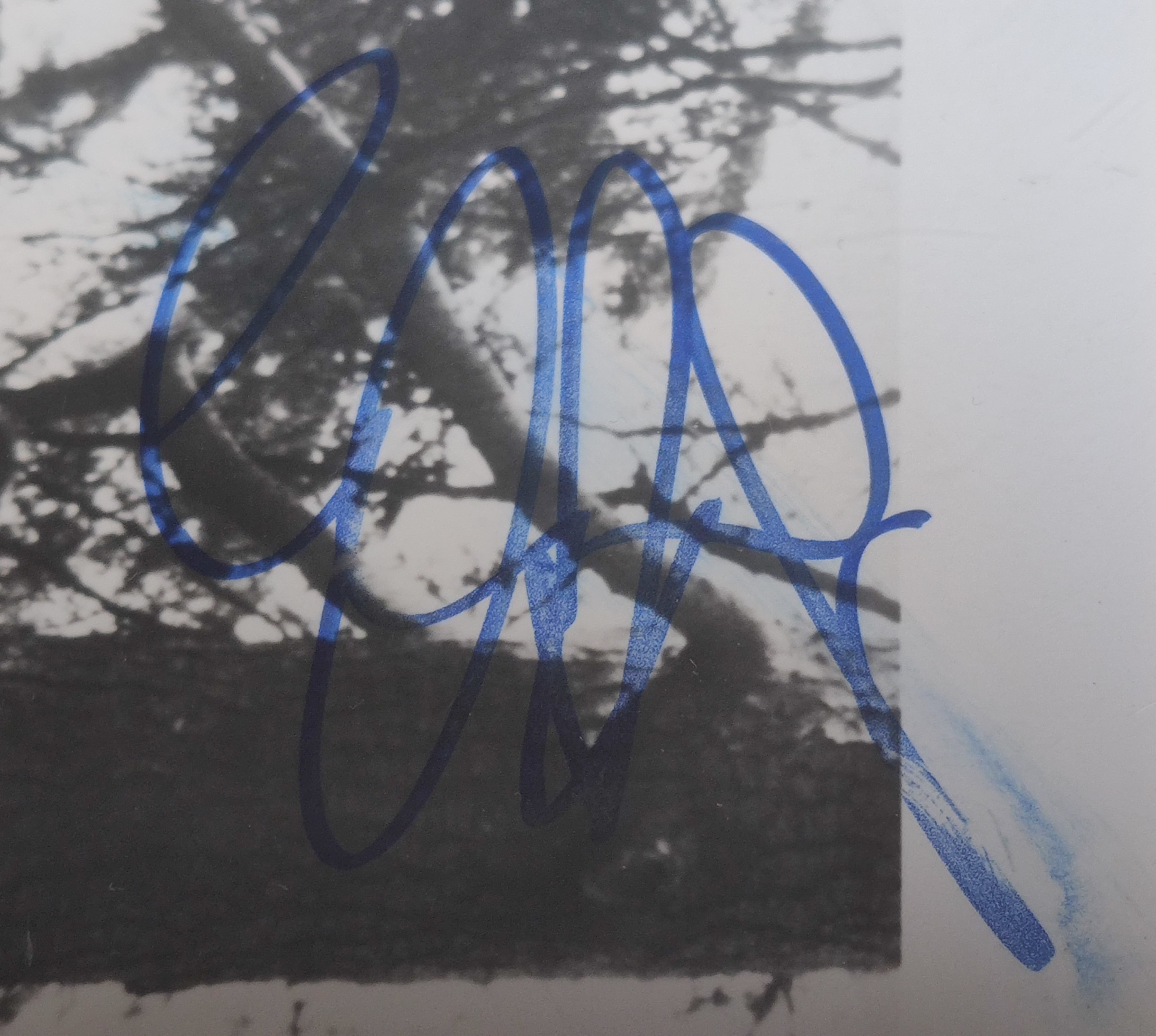 The Rolling Stones autographed Photo by Mick Jagger – Keith Richards – Charlie Watts – Ronnie Wood.