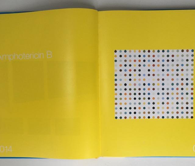 Damian Hurst (b1965) ‘28 Tablets’, Pictures from the Saatchi Gallery, 1st Print, Hardback, 2009