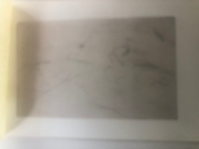 Six Stunning Offset Lithographs After Modigliani