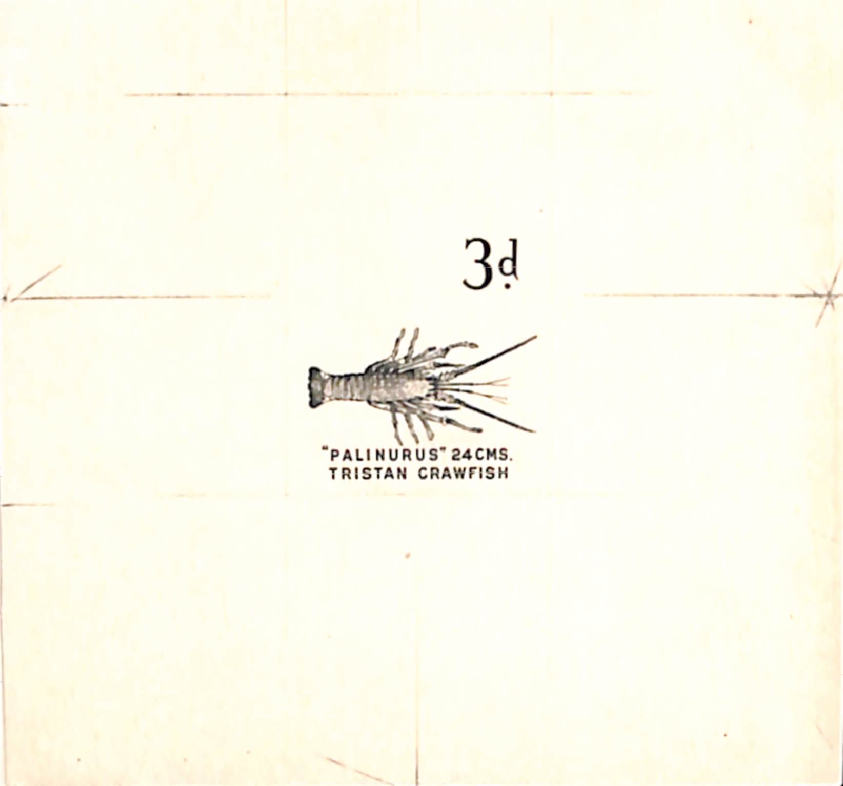 Tristan Da Cunha 1960