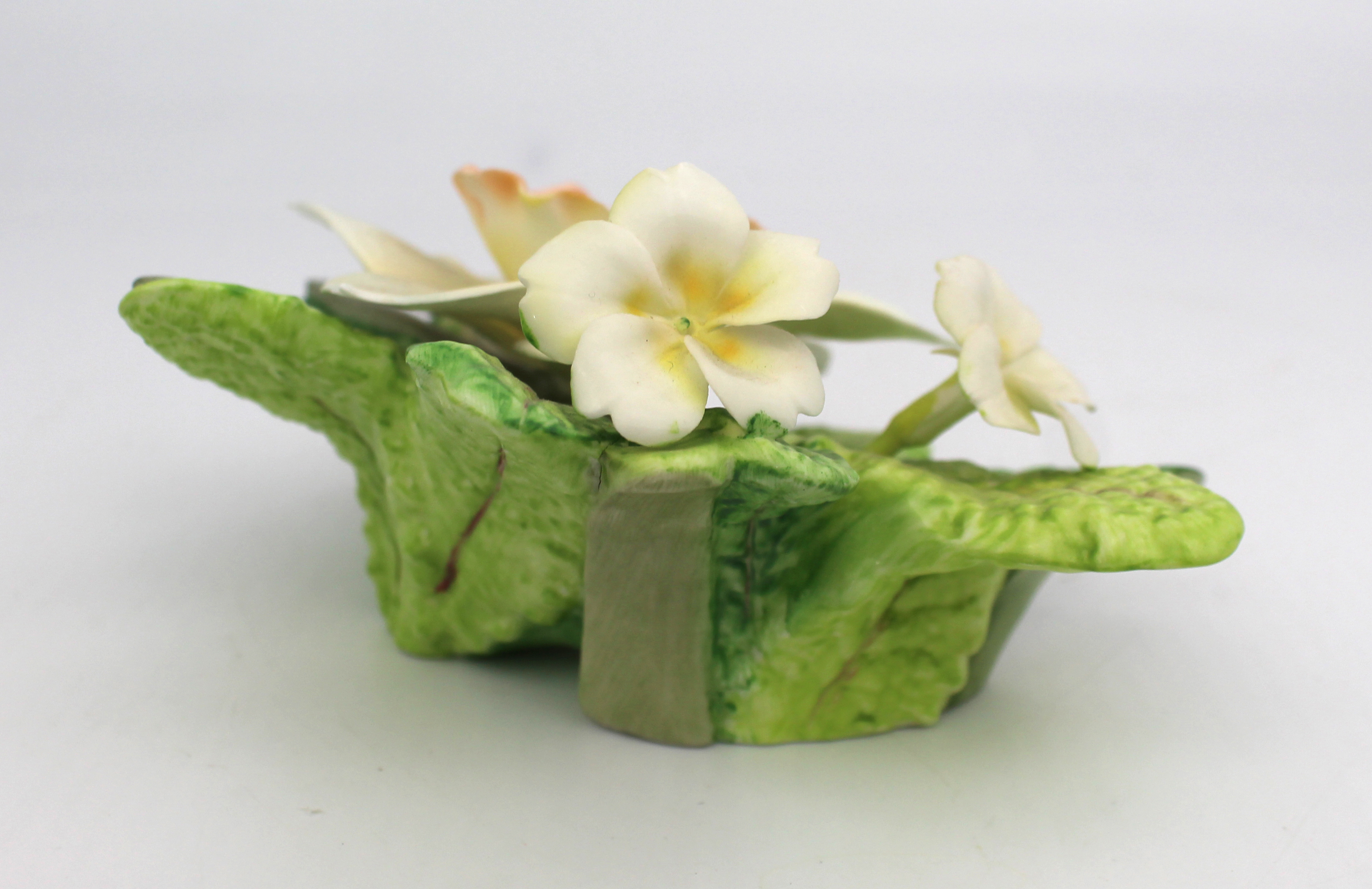 Royal Worcester Flower Narcissus