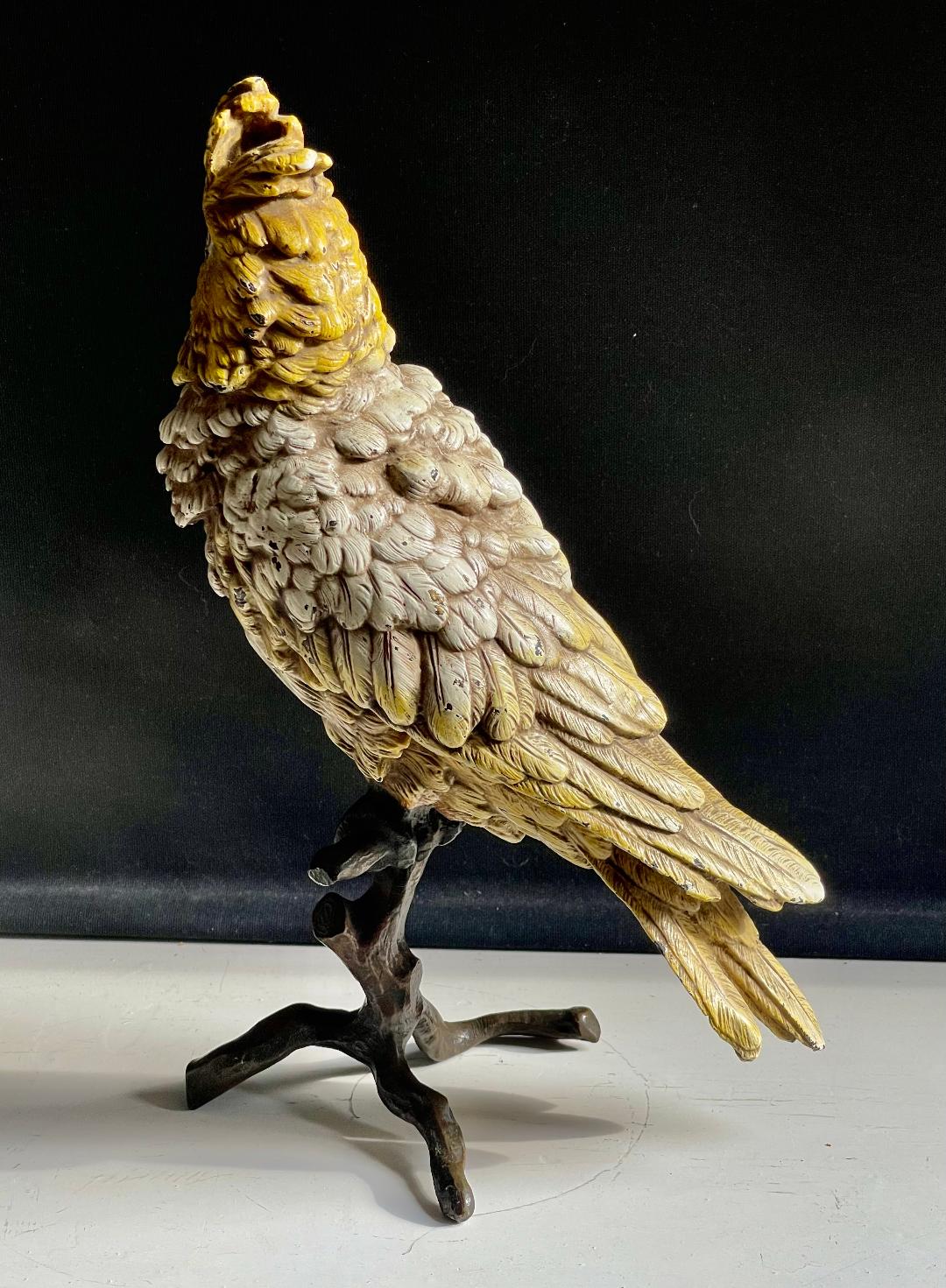 Cold Painted Bronze Bergman Fogure of a Cockatoo