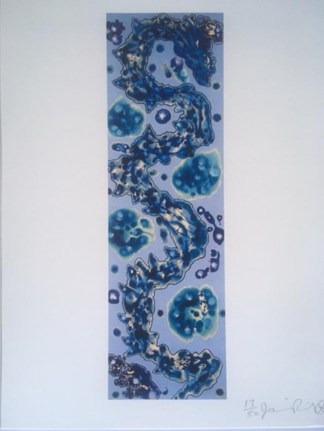 Jamie Reid (b1947-2023) ‘Slated’ Original Abstract Art, Hand Signed, From An Edition of 50, 2009