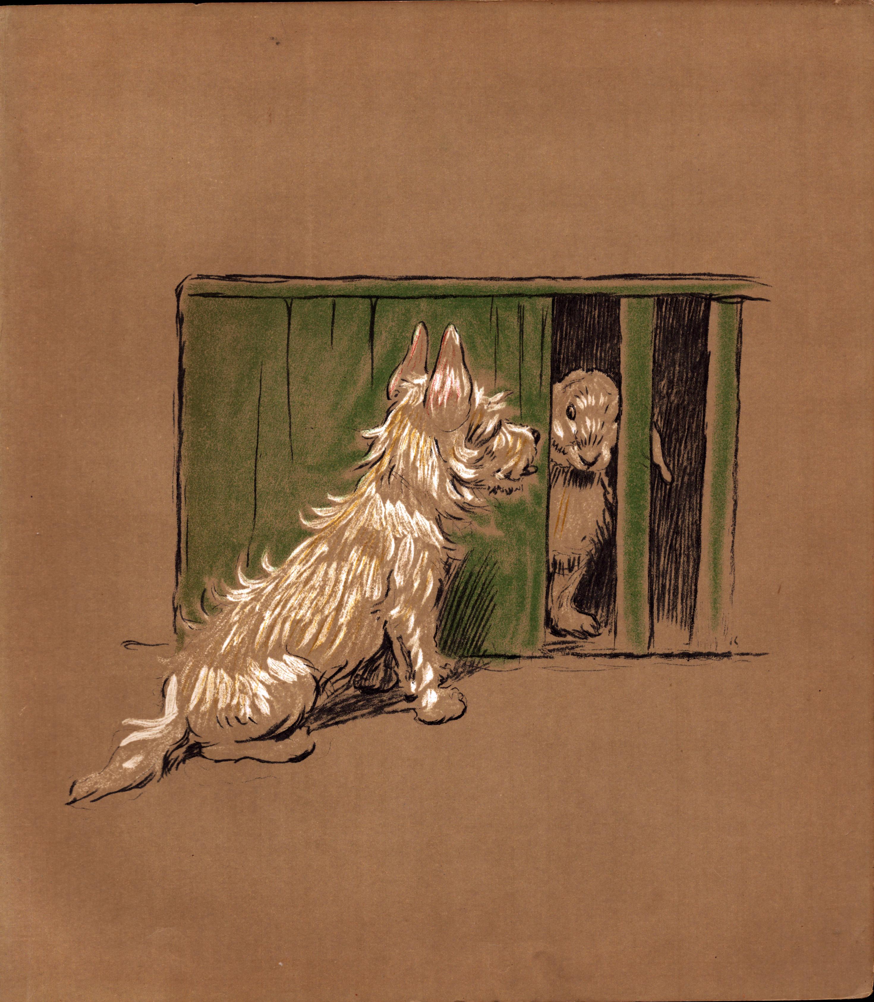 Cecil Aldin Original Antique Illustration Mac a White West Highland Terrier-21.