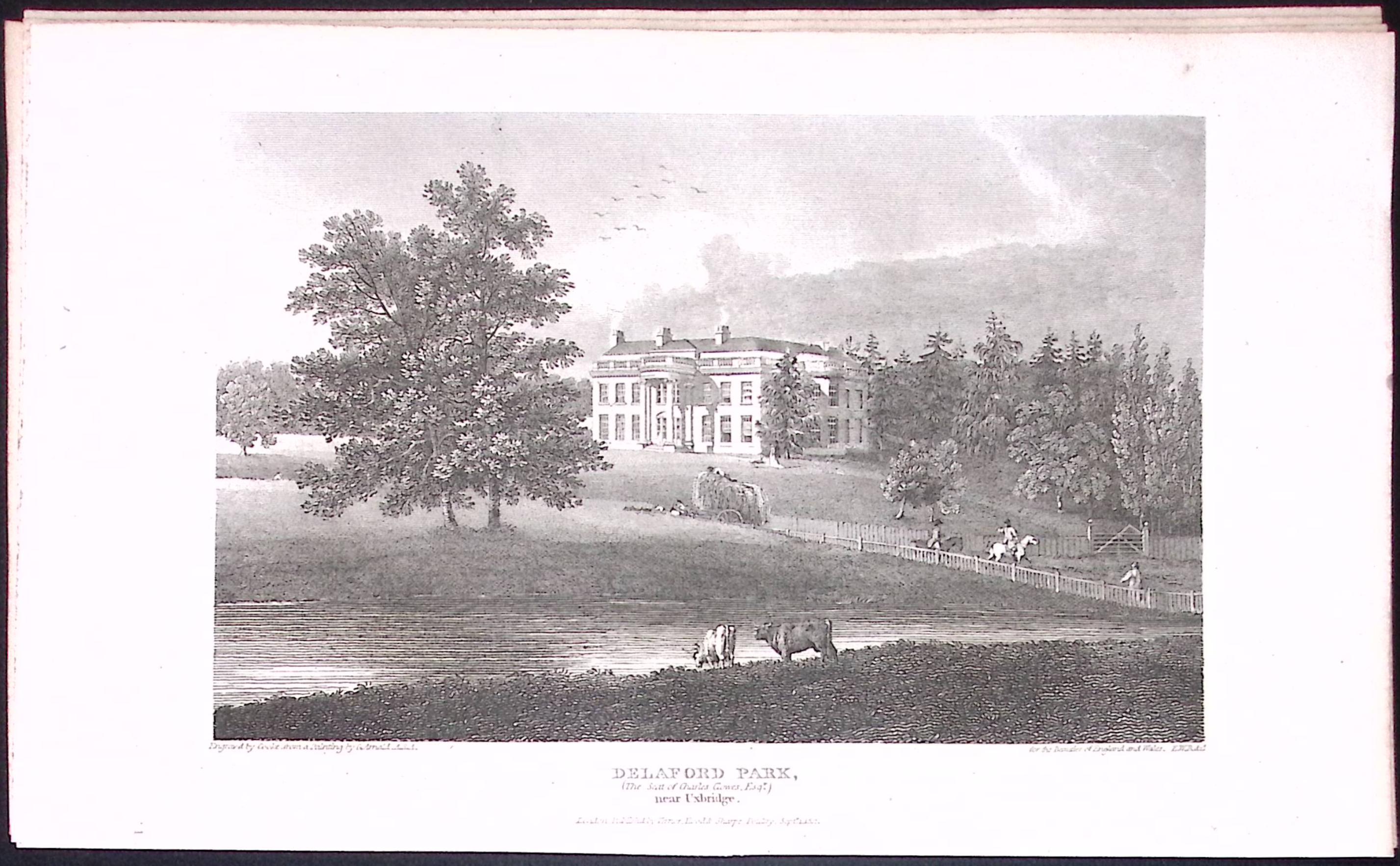 Delaford Park Uxbridge Middlesex Antique 200 Years-Old Steel-Engraving-253