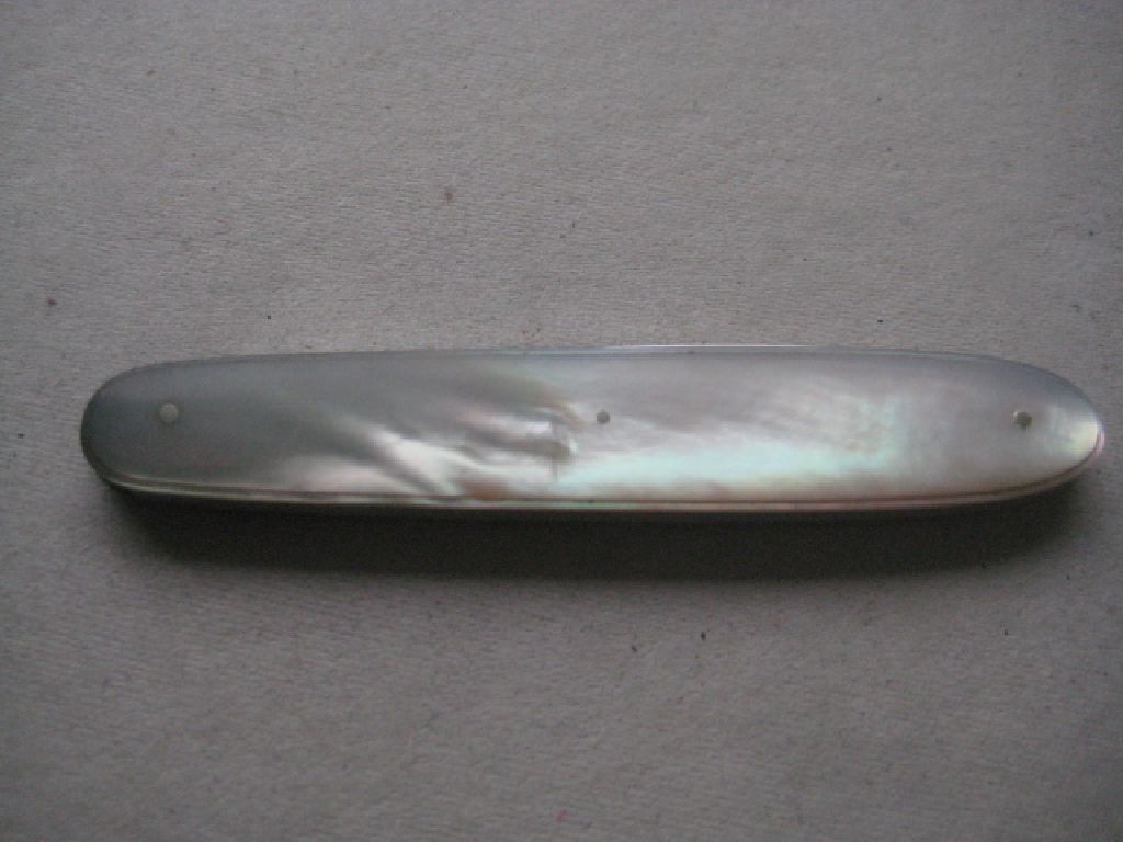 Rare Victorian Cased Silver Bladed Folding Fruit Knife