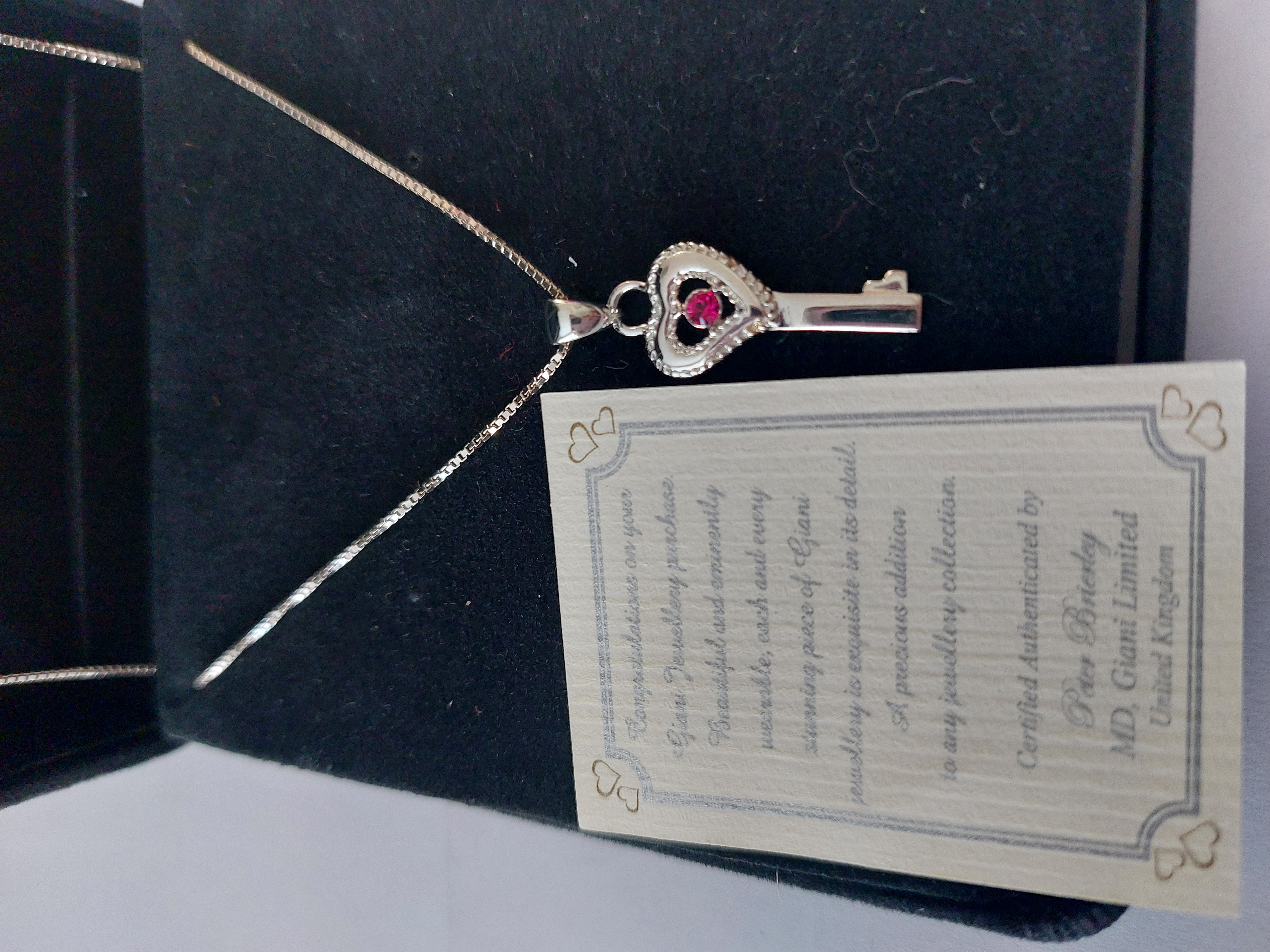 Key Pendant With Red Stone and Chain