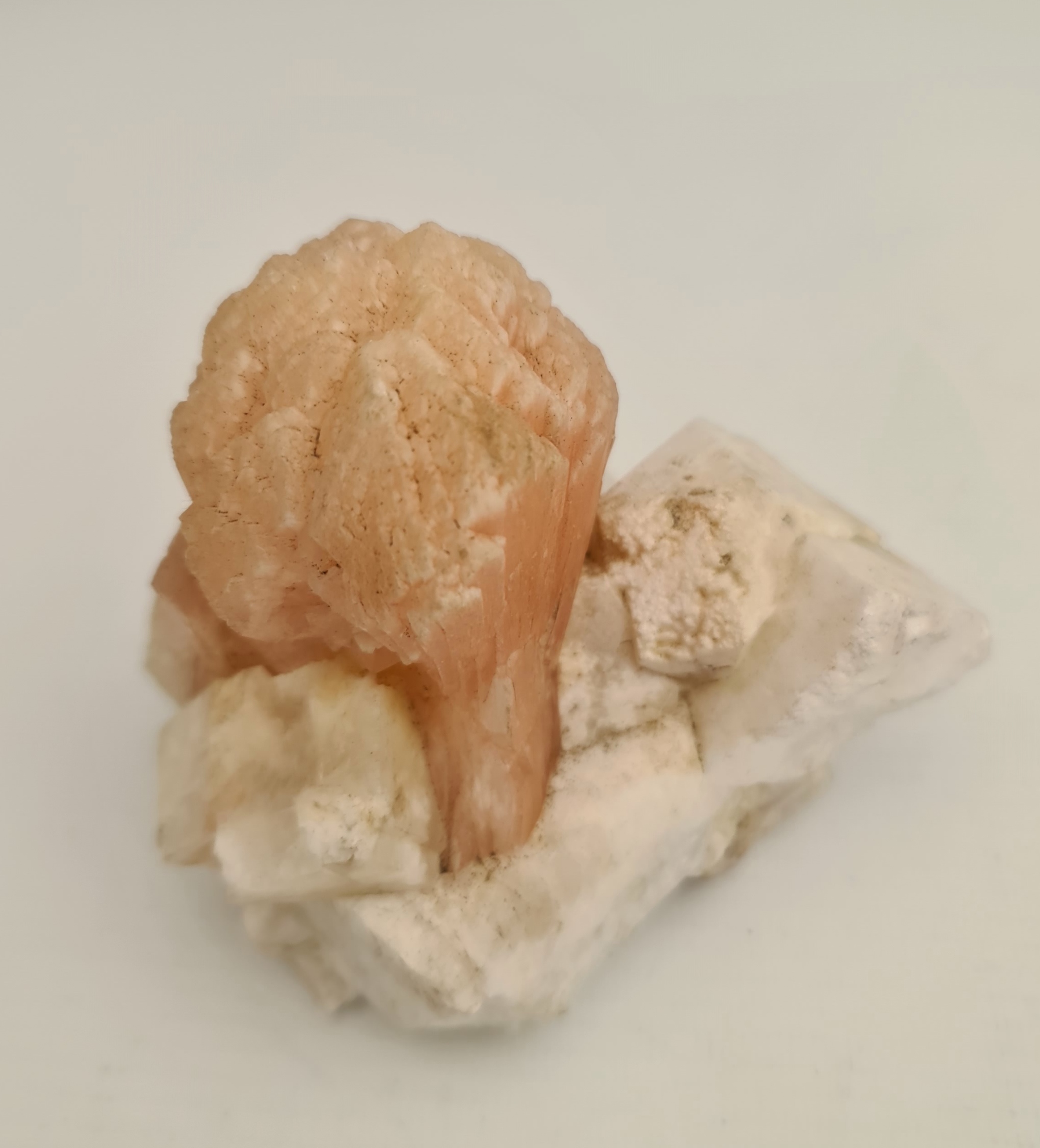 Collectable Minerals Stilbite Sheath on Apophyllite