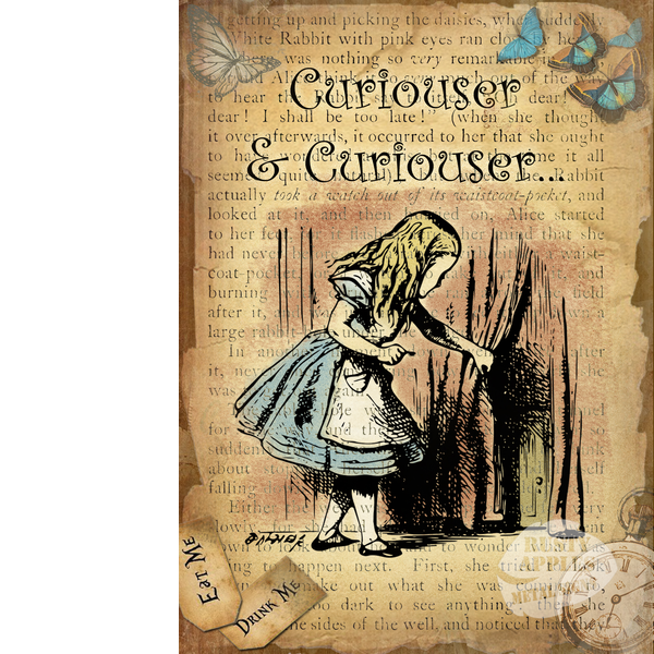 Alice In Wonderland Metal Sign "Curiouser & Curiouser"Designed Alice In Wonderland Quote