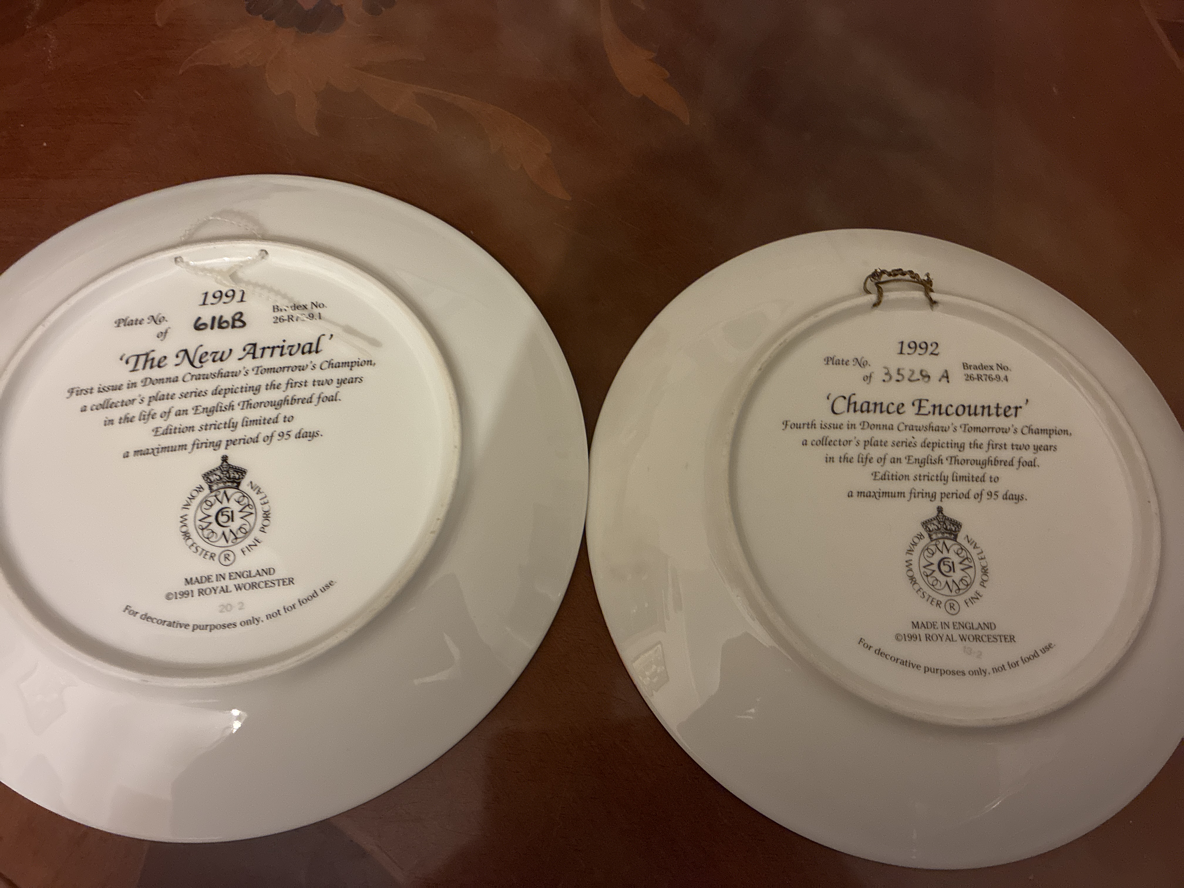 Royal Worcester Collectors Plates “Tomorrow’s Champion”
