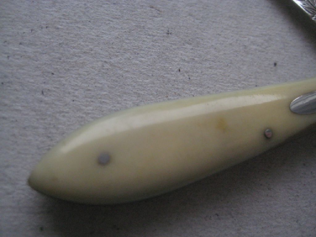 Rare Victorian Silver Bladed Folding Fruit Knife, Sheffield 1882