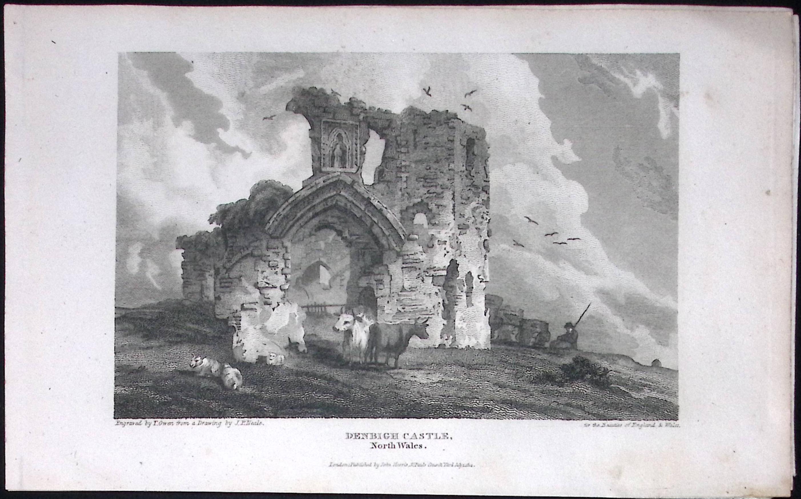 Denbigh Castle Wales Antique 213 Years-Old Georgian Steel-Engraving-194.