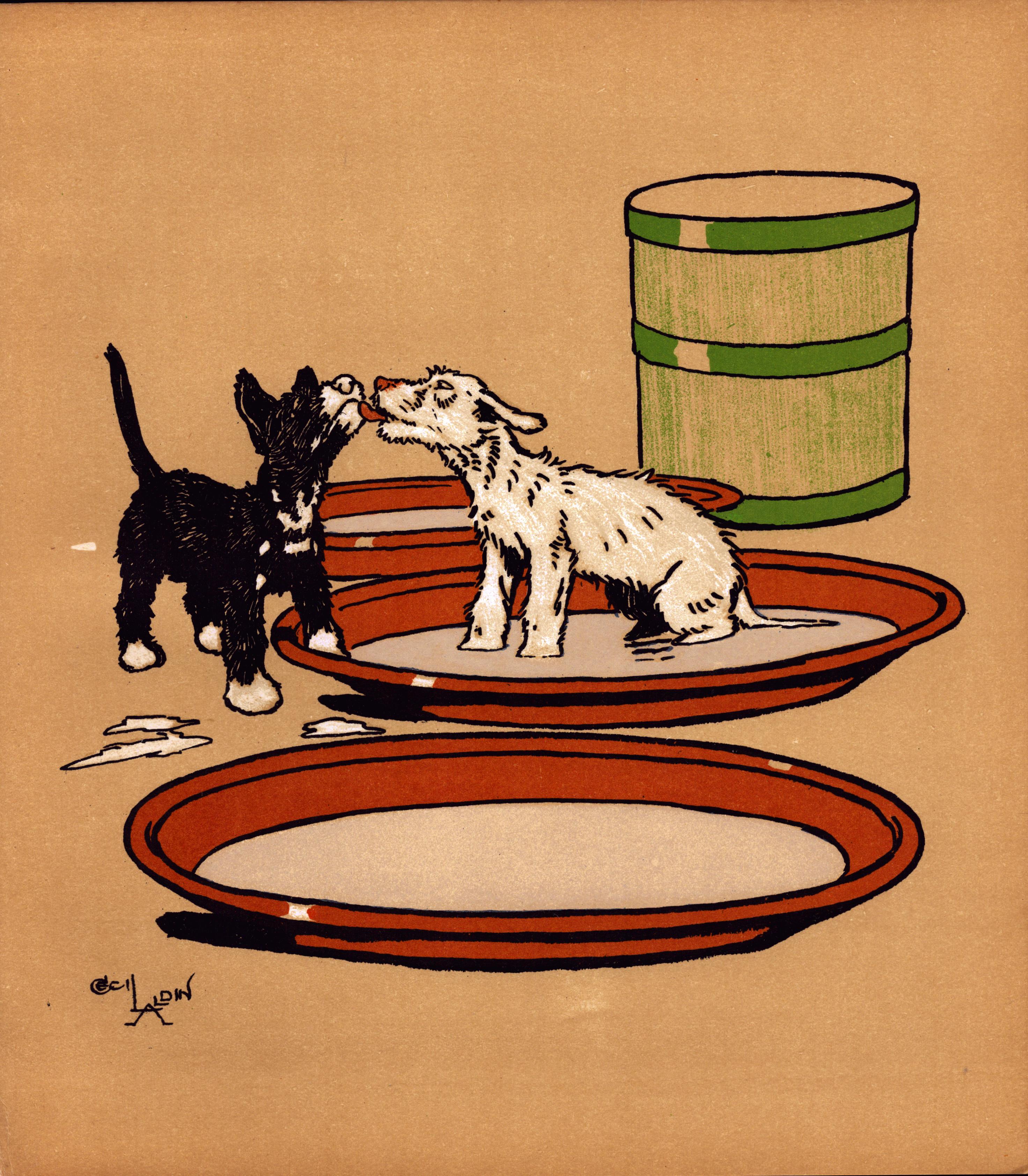 Cecil Aldin  “Rough & Tumble” Scotch Terriers Antique Colour Illustration-14.