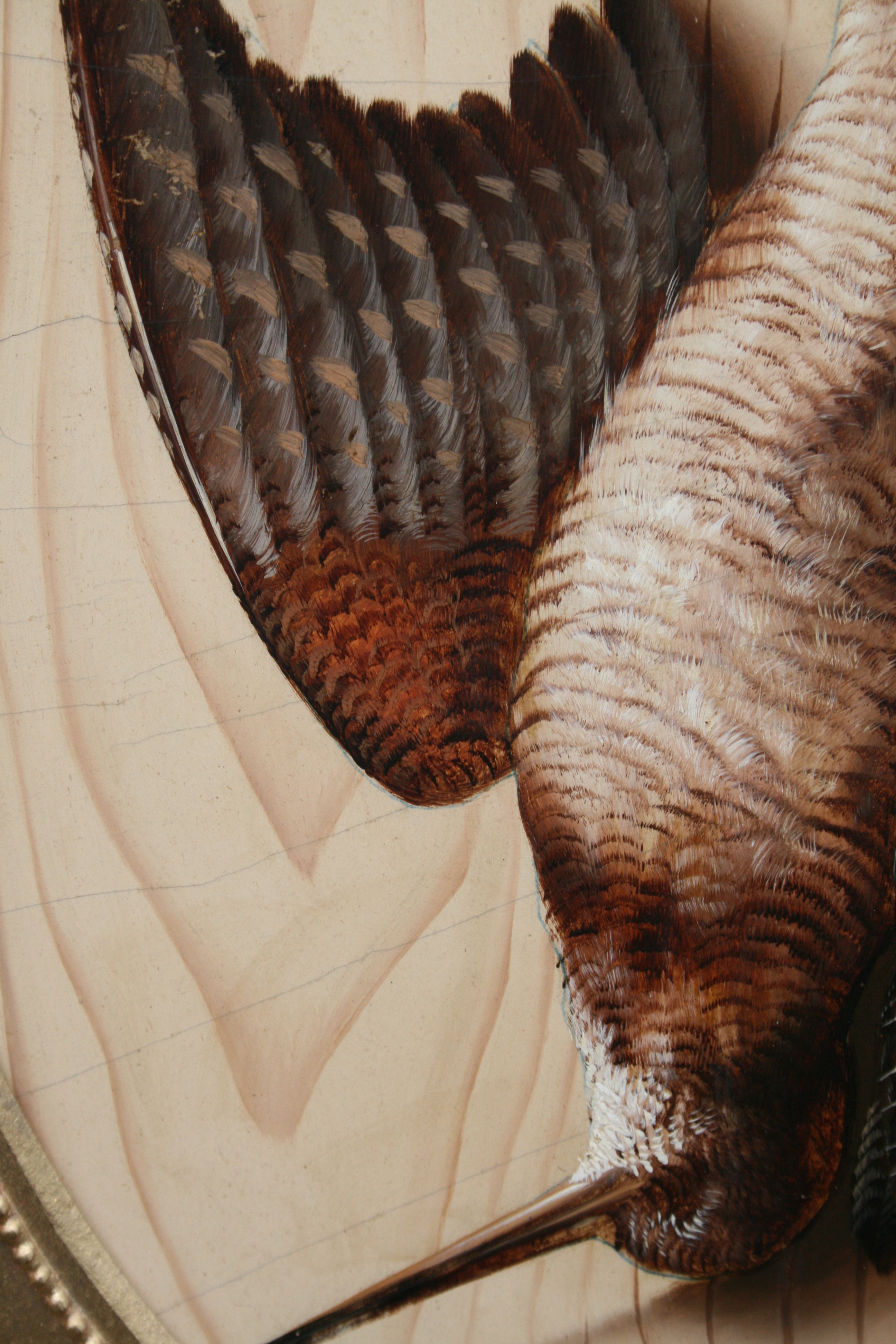 Trompe l’oeil by Michelangelo Meucci (Italian, 1840–1890)