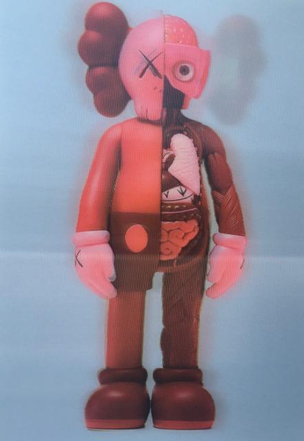 Kaws (b.1974) Import, 3D Lenticular Image Flayed Companion In Blush, Exhibition At NGV, Framed, 2019