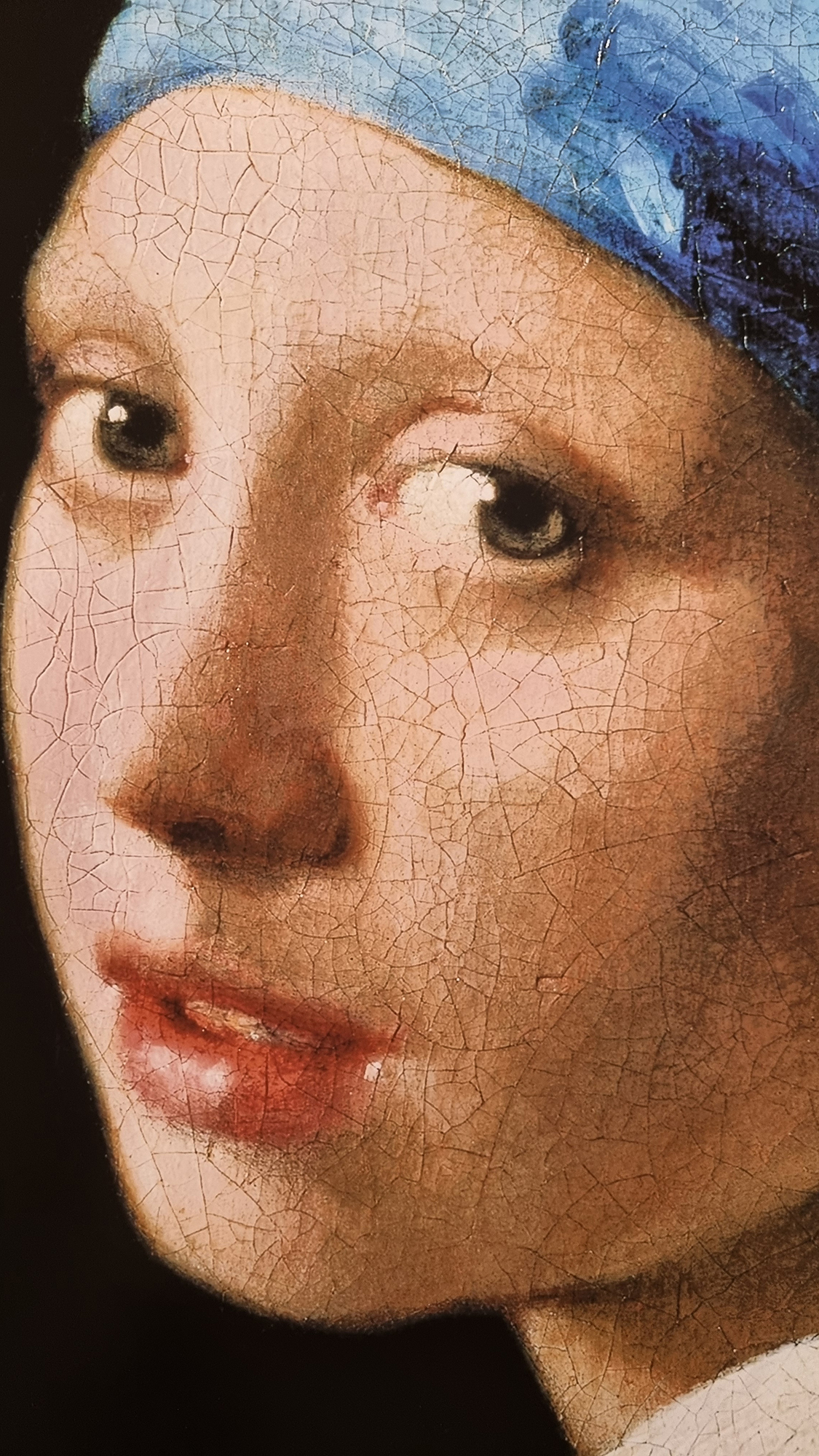 Johannes Vermeer 'Girl with a Pearl Earring' Platinum Leaf Rare
