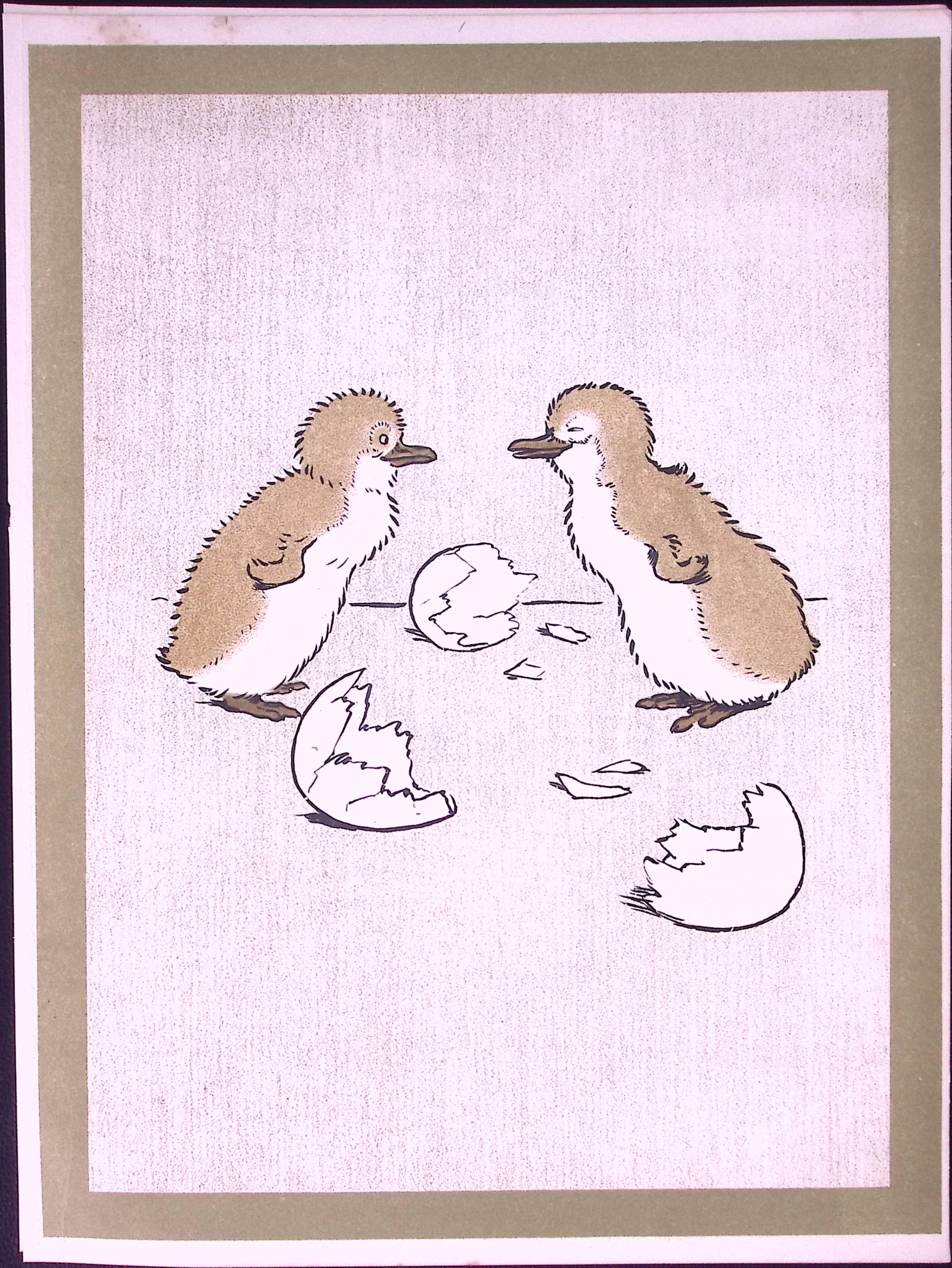 Cecil Aldin Antique Zoo Babies Scarce Coloured Illustration “The Penquins”-11