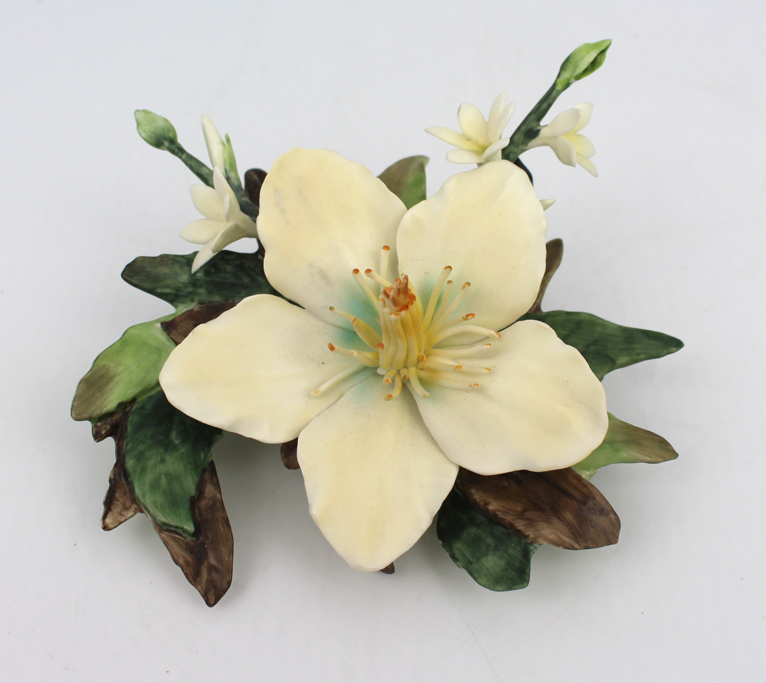 Royal Worcester Flower Hibiscus & Edelweiss