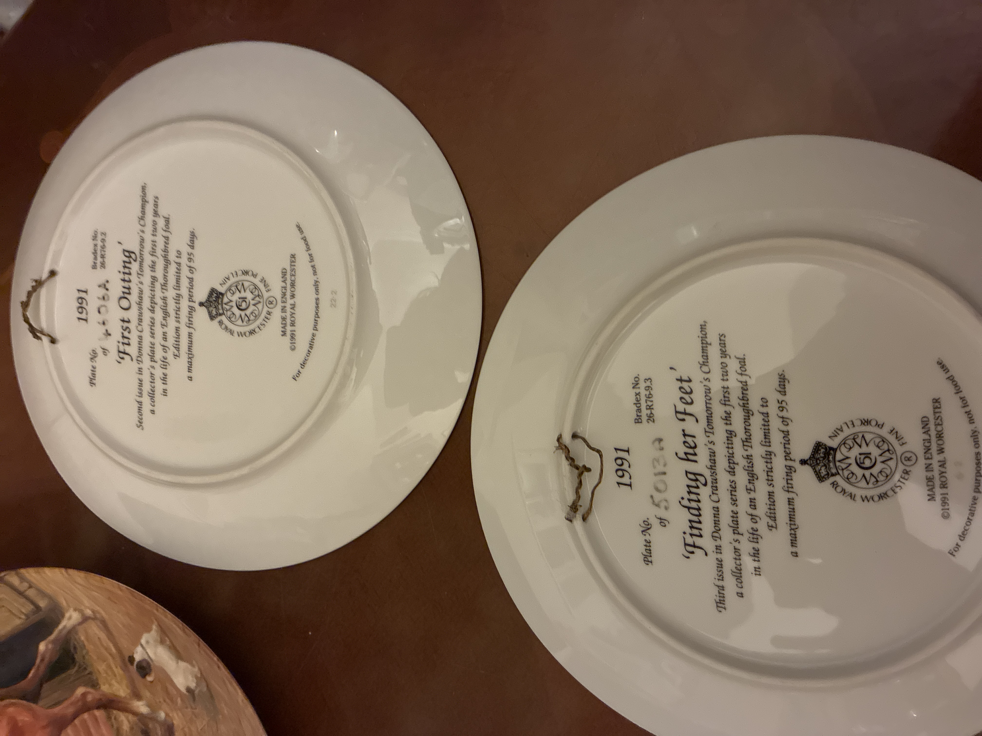 Royal Worcester Collectors Plates “Tomorrow’s Champion”