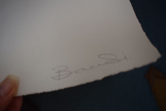 Bambi (B1979) ‘Exotica’ Screen Print, Signed, Editioned, 2012