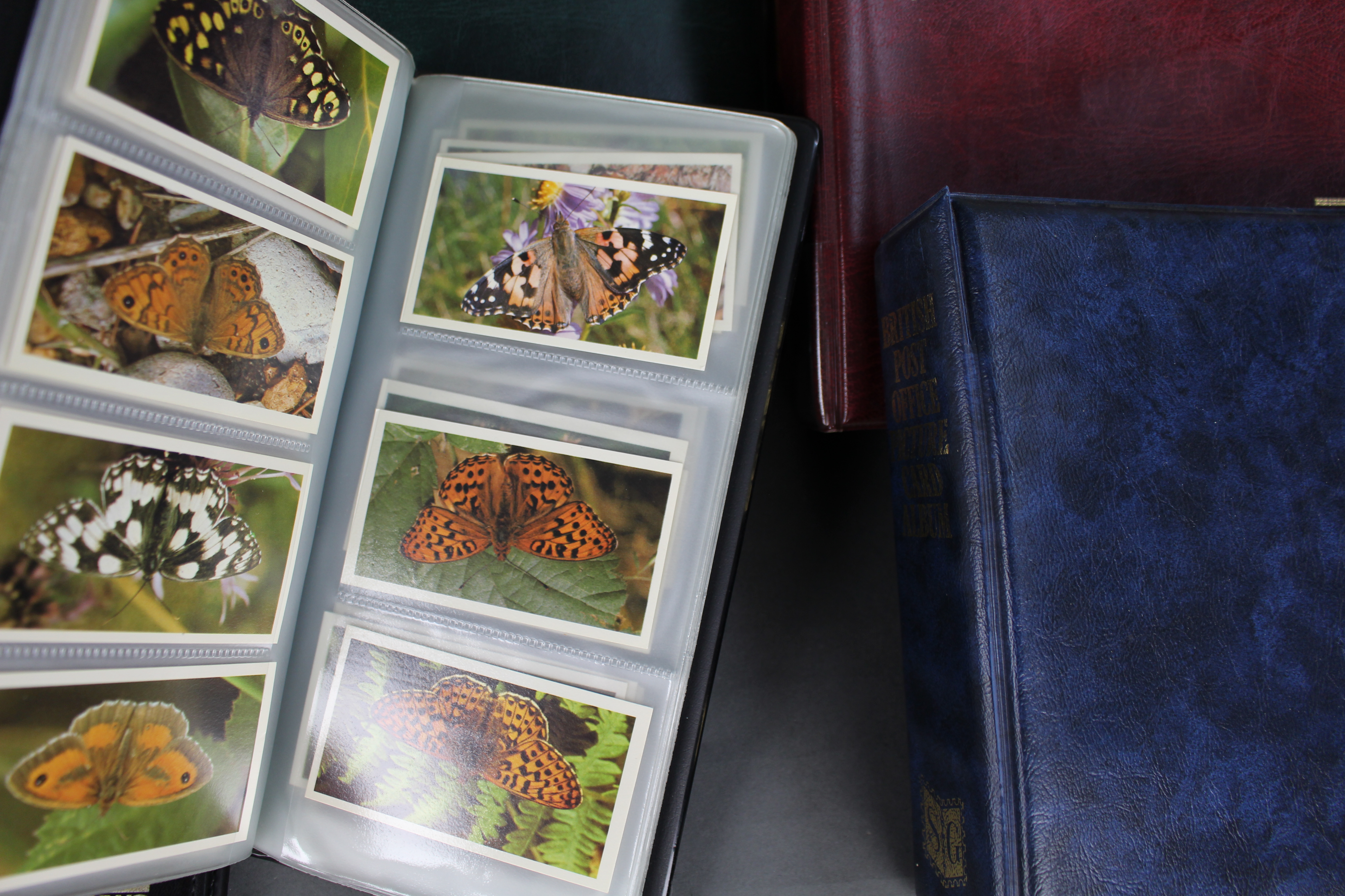 Substantial Collection of Vintage Cigarette & Tea Cards –14 Albums, Many Sets