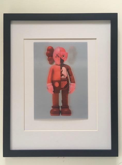 Kaws (b.1974) Import, 3D Lenticular Image Flayed Companion In Blush, Exhibition At NGV, Framed, 2019