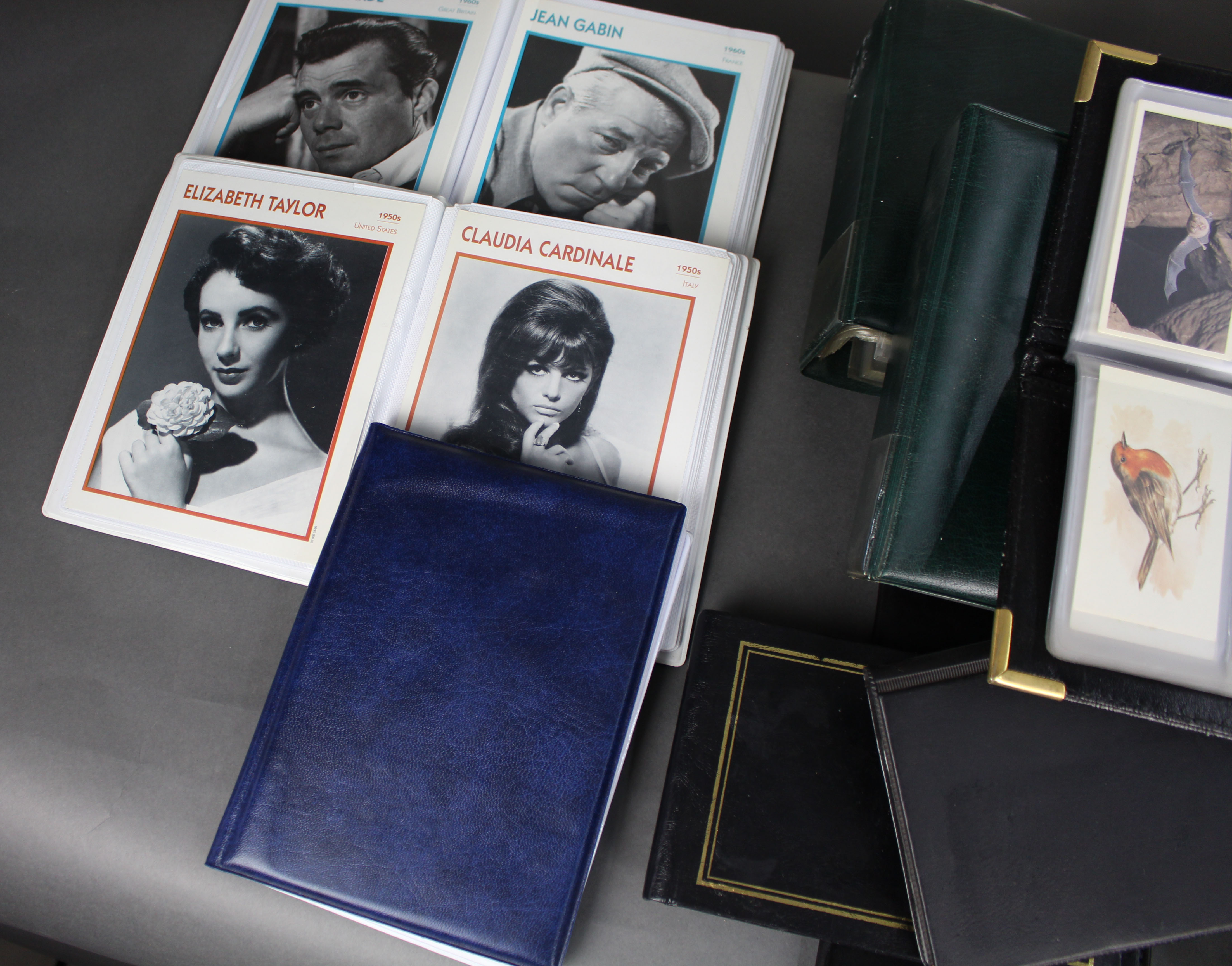Substantial Collection of Vintage Cigarette & Tea Cards –14 Albums, Many Sets