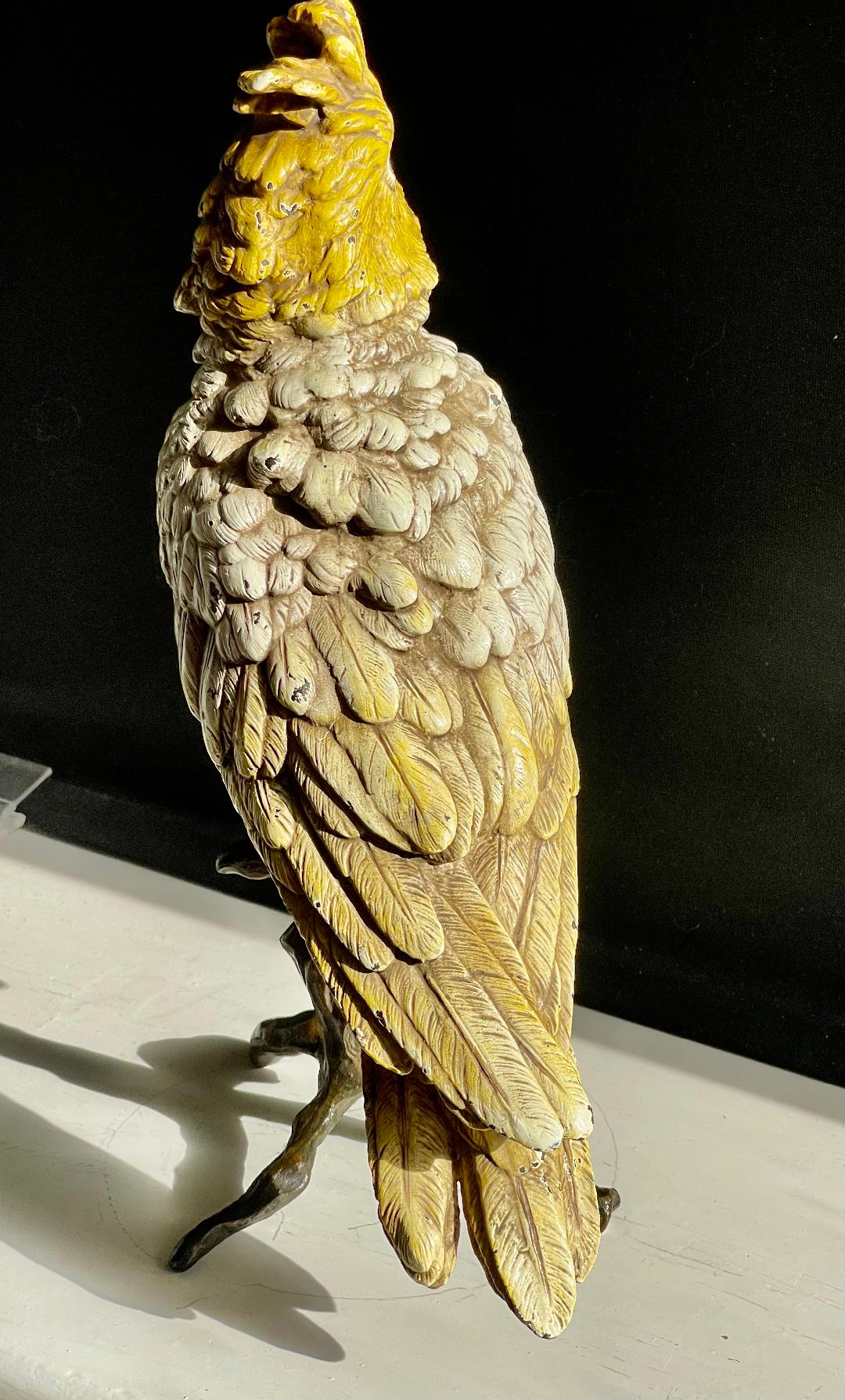 Cold Painted Bronze Bergman Fogure of a Cockatoo