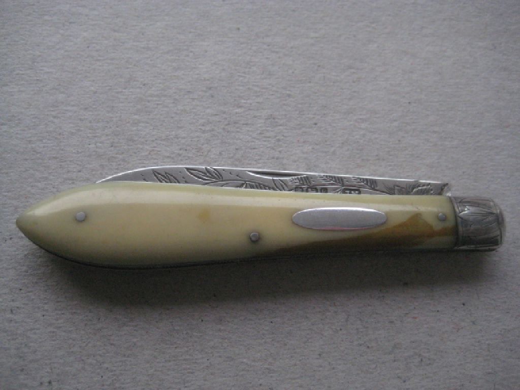 Rare Victorian Silver Bladed Folding Fruit Knife, Sheffield 1882