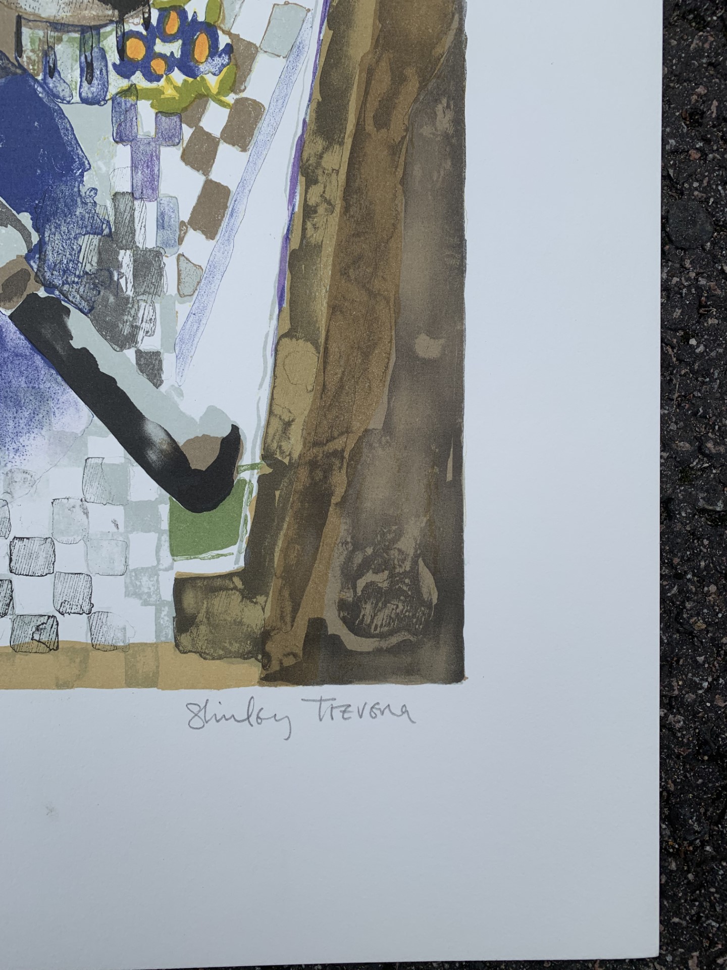 Shirley Trevena Signed Limited Edition Curwen Press Free Post