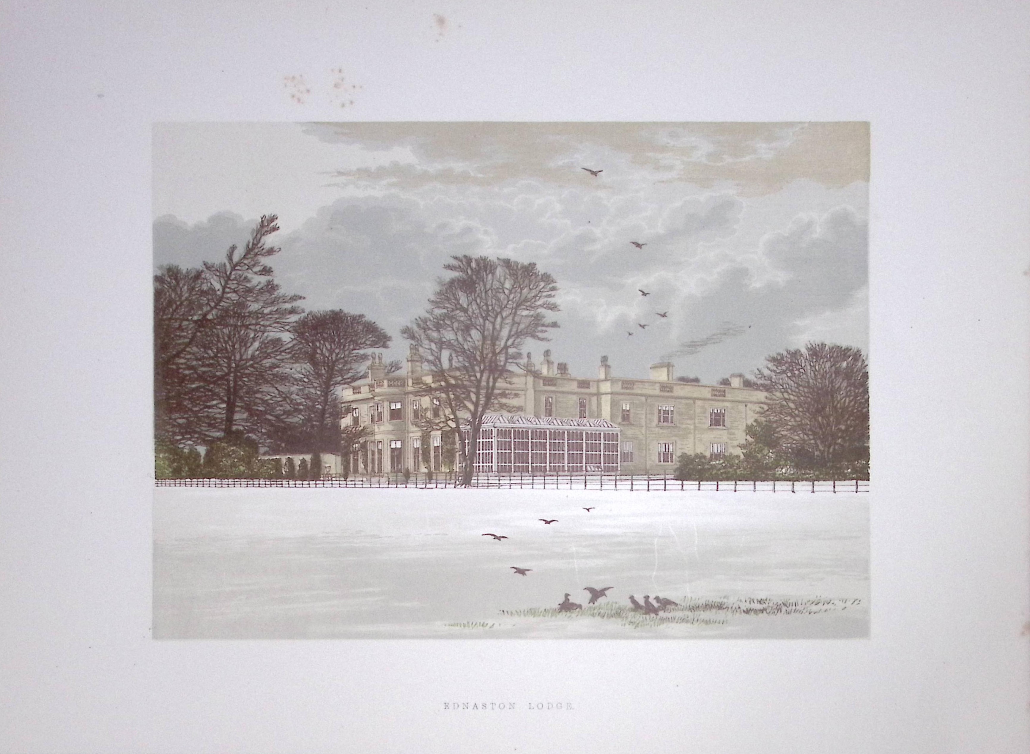 Ednaston Lodge Derby 160 Years-Old Gilt-Edge Antique Coloured Book Plate-34