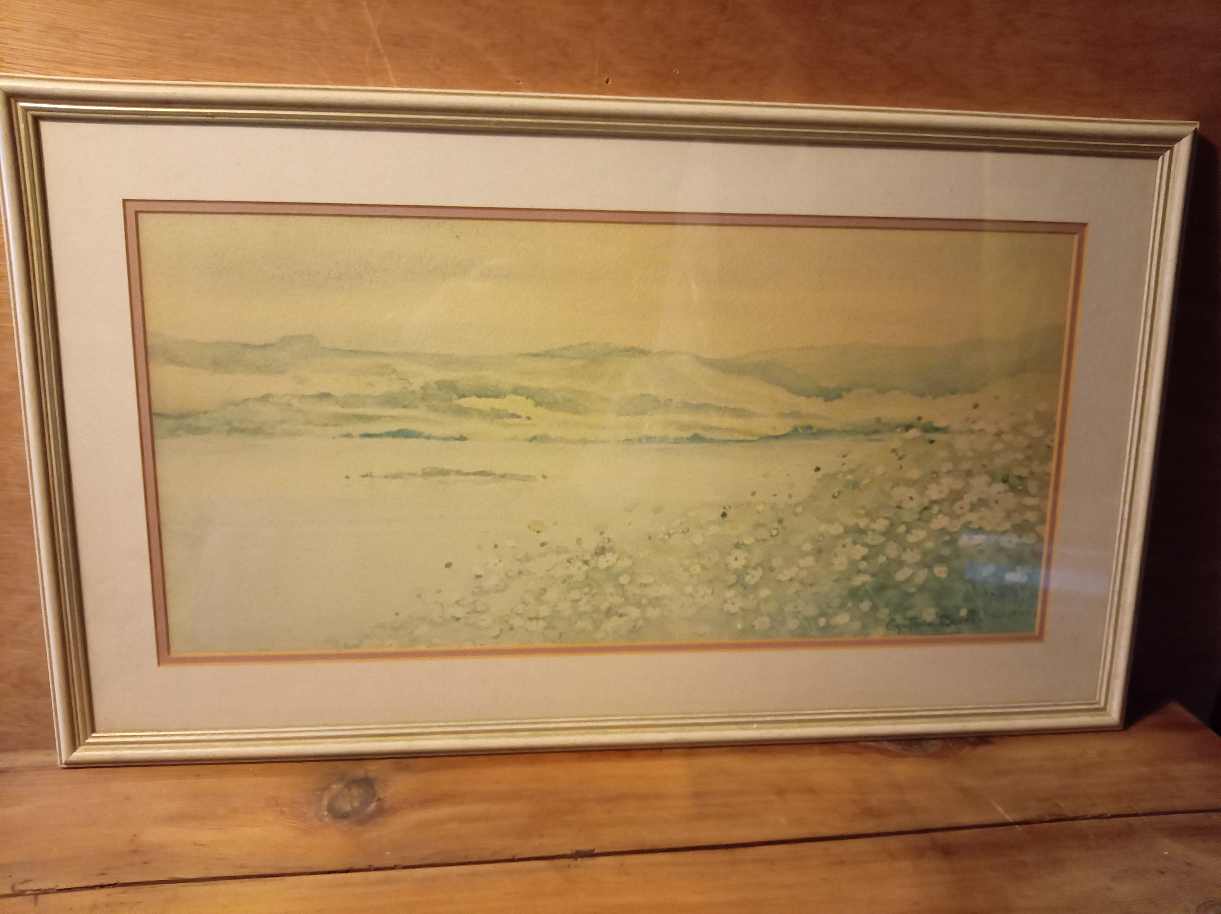 Original Water Colour By Artist Cynthia Ball