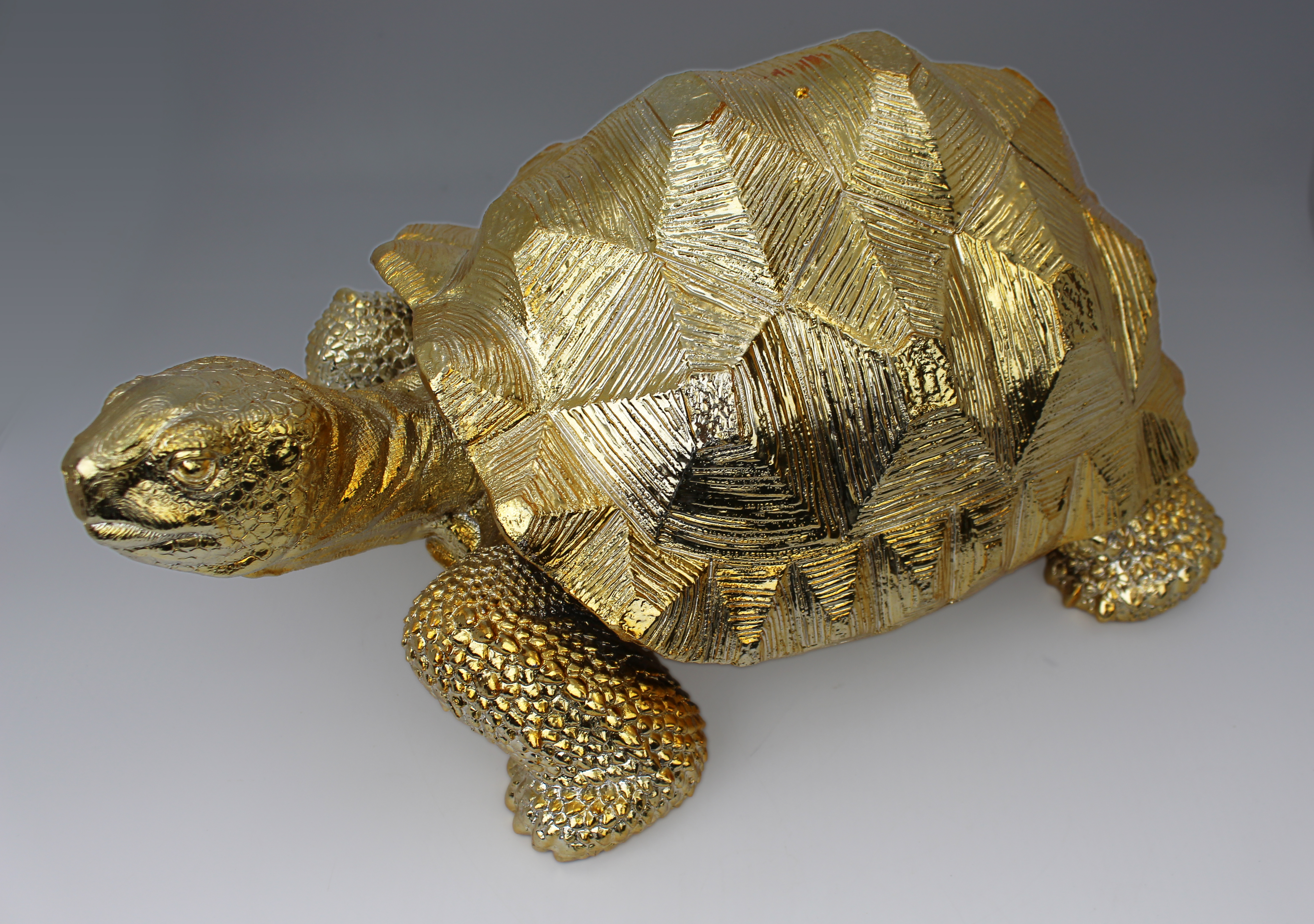 Gold Leaf Tortoise Model