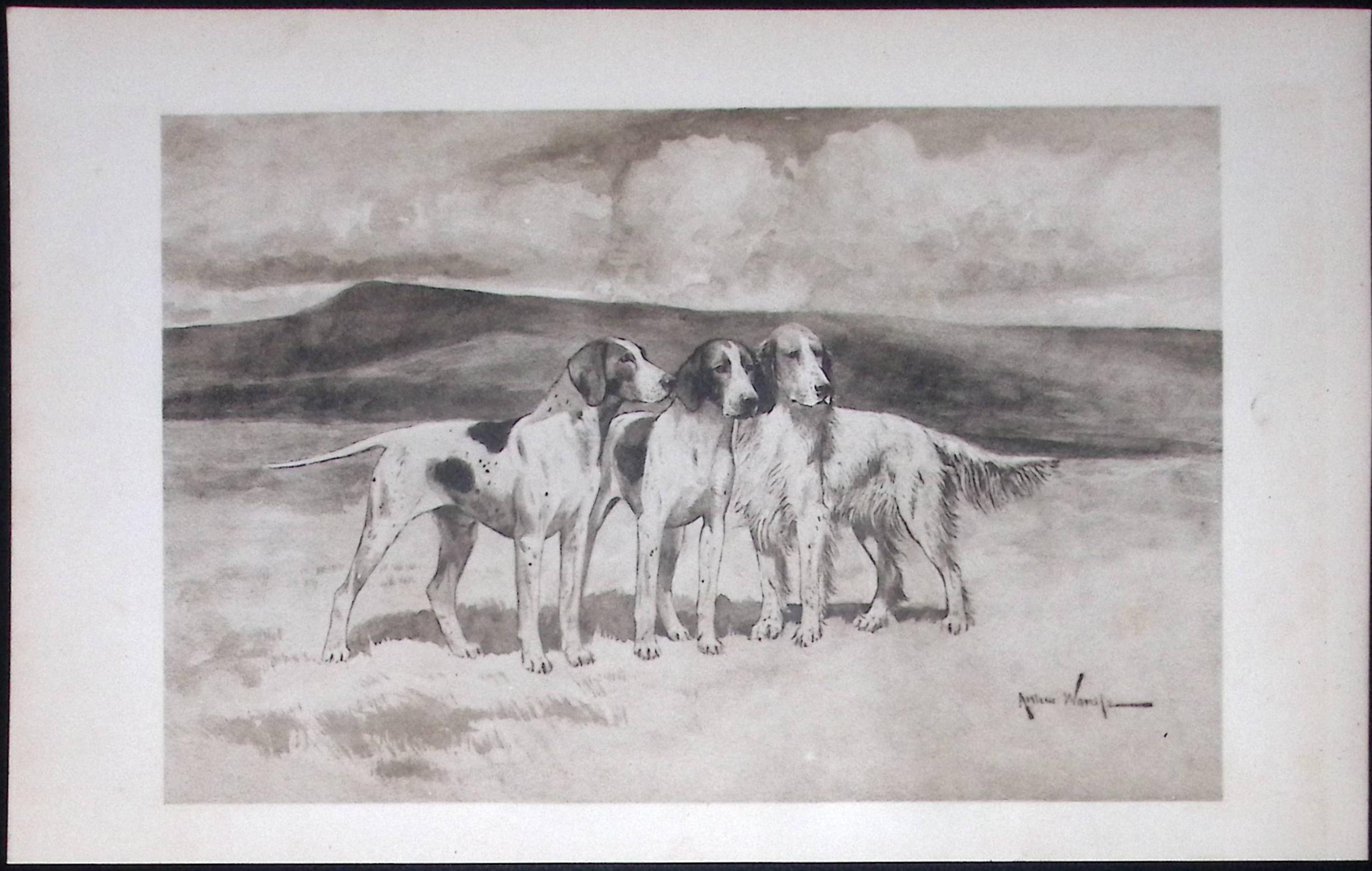 Pointers & Setters Antique 1893 Book Plate Rawdon Lee Modern Dogs-55