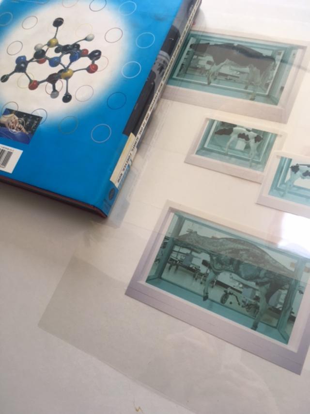 Damien Hirst (b 1965) I Want To Spend My Life Everywhere, With Everyone, 3D Book, 1997