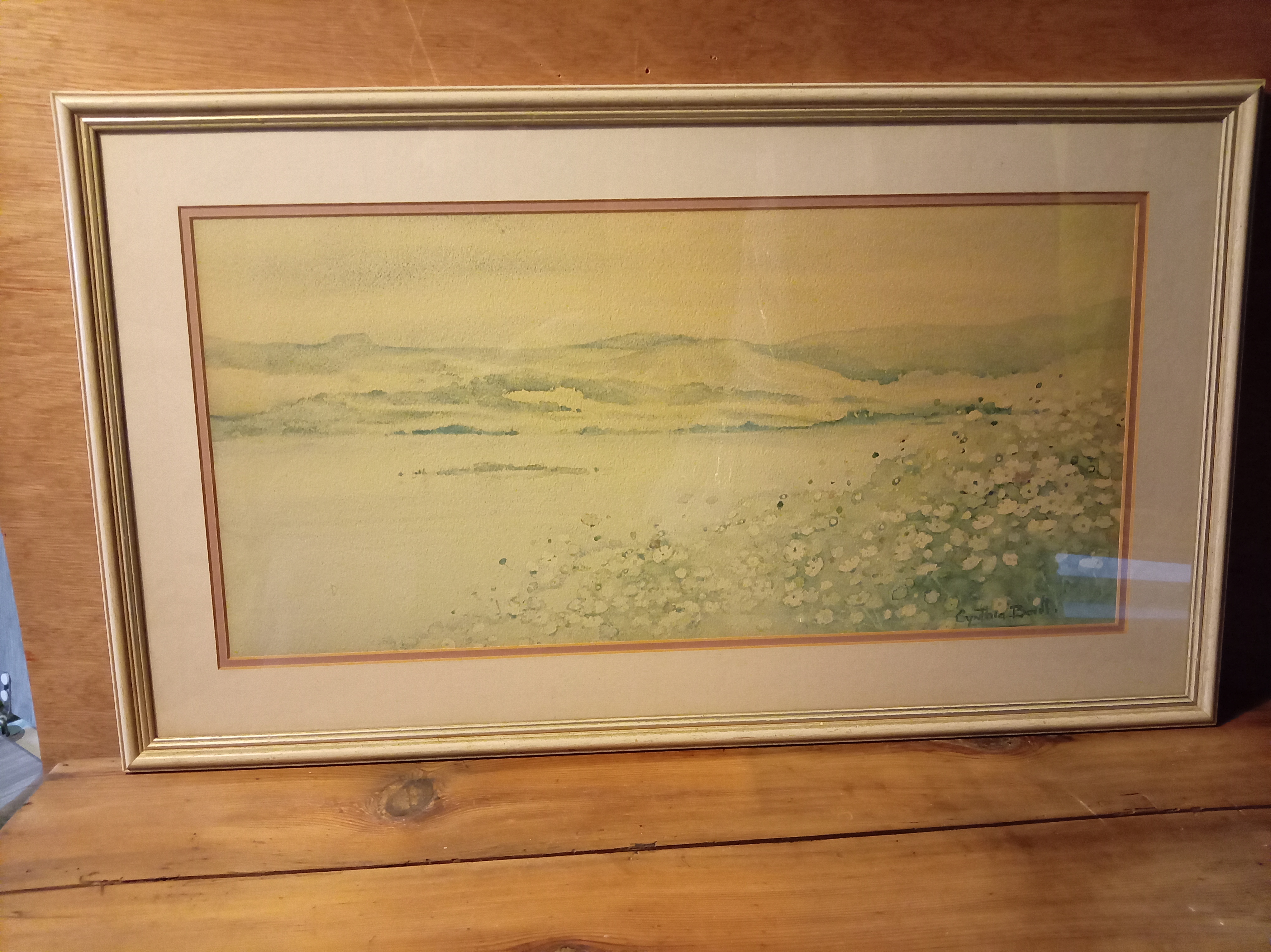 Original Water Colour By Artist Cynthia Ball