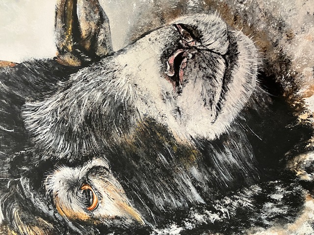 2 Ram Oil Paintings On Canvas. Artist Is Miranda Assink