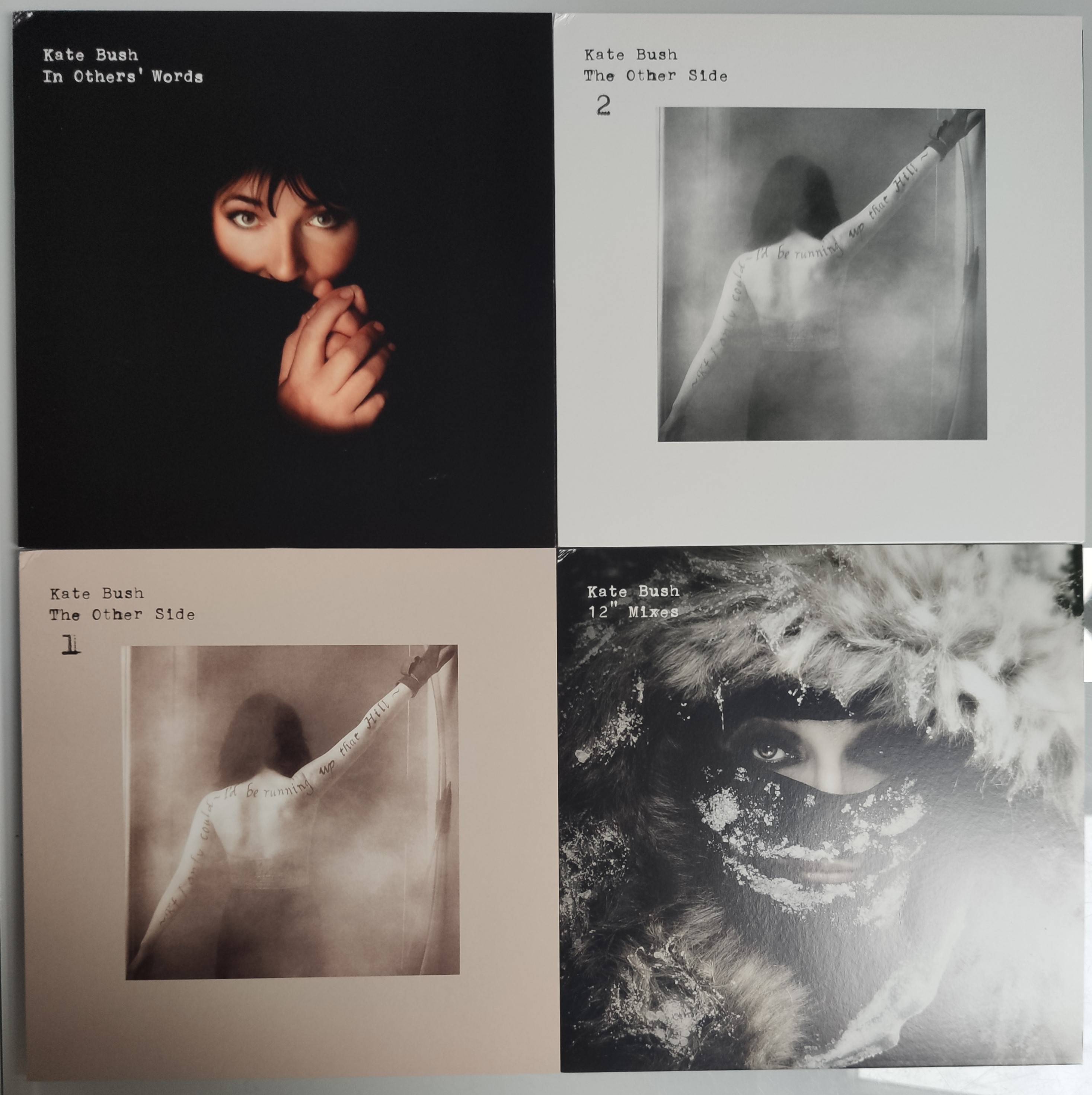 Kate Bush remastered in vinyl box set. Near mint condition.