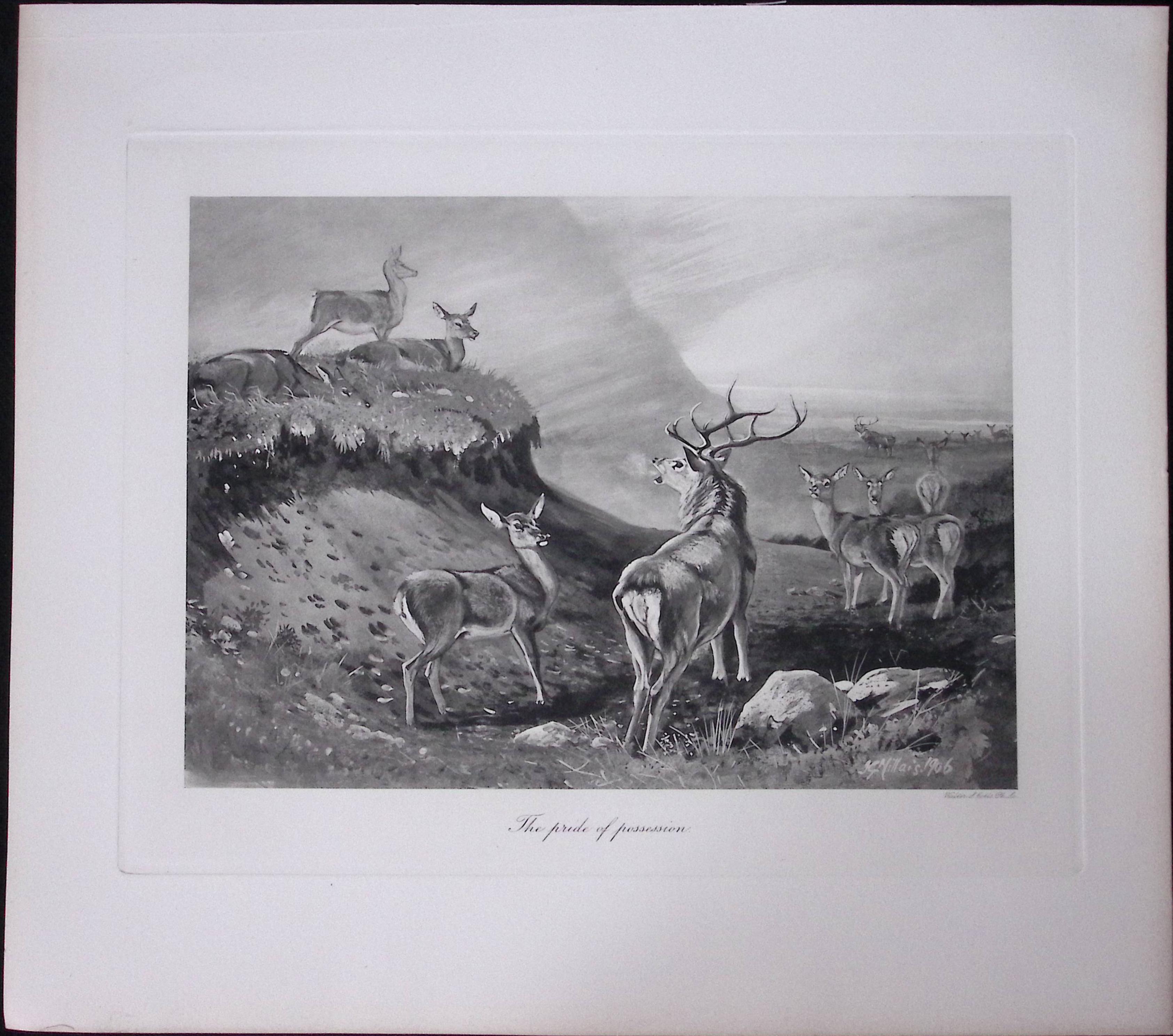 Job-Lot J.G. Millais Rare Limited-Edition Stag Family Species Antique Prints-17