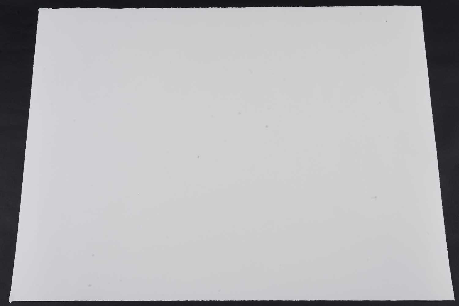 Nick Walker (b 1969) ‘Coran-Can’, Large Screenprint Editioned, Signed With COA, 2010