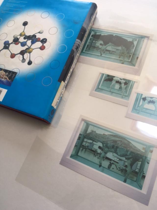 Damien Hirst (b 1965) I Want To Spend My Life Everywhere, With Everyone, 3D Book, 1997