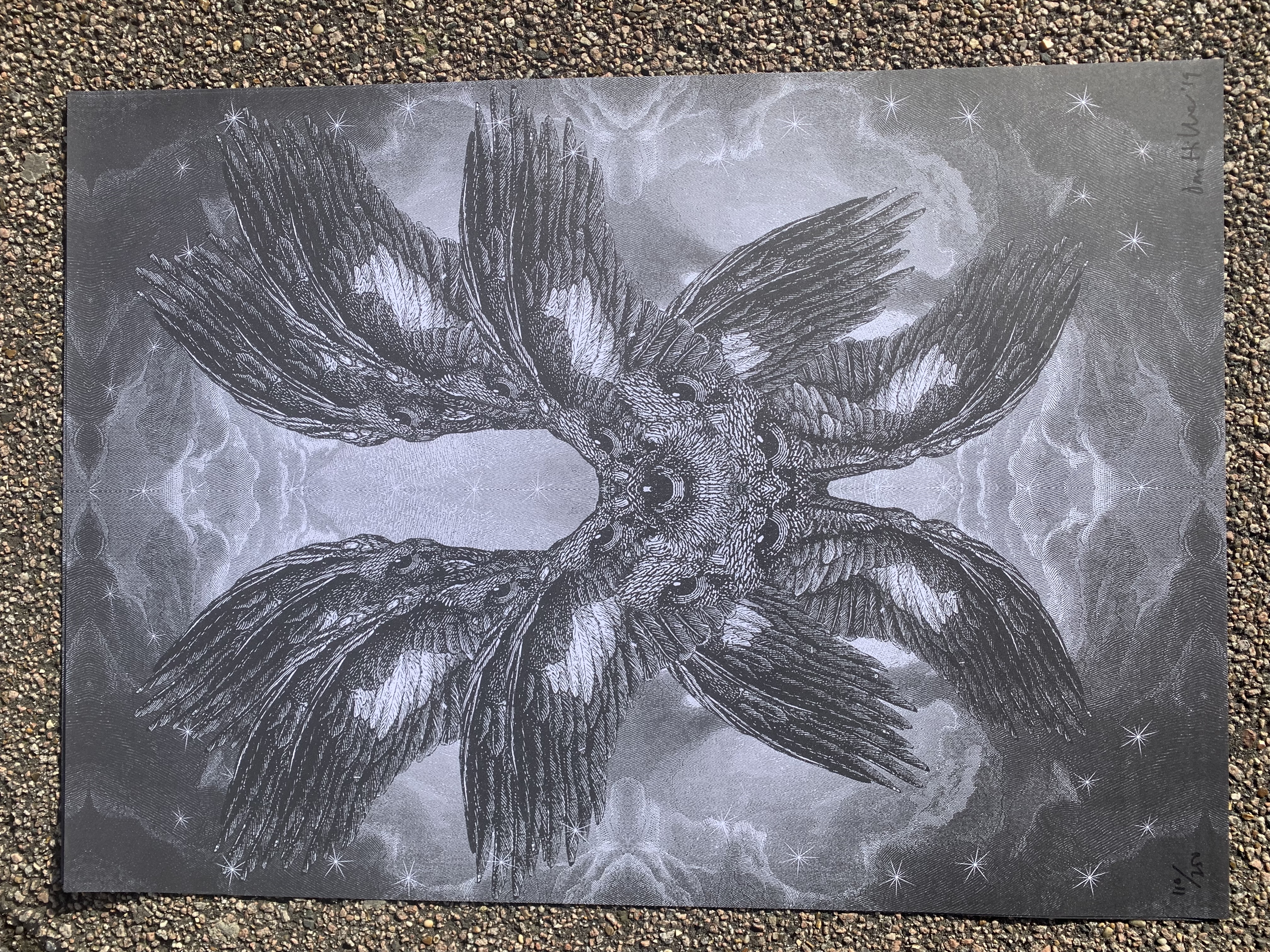 Dan Hillier Signed Limited Edition x/250 Free Post UK