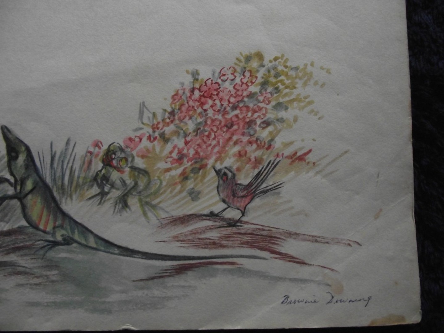 Brownie Downing - 4 x Rare Original Watercolour Illustrations - 3 Signed