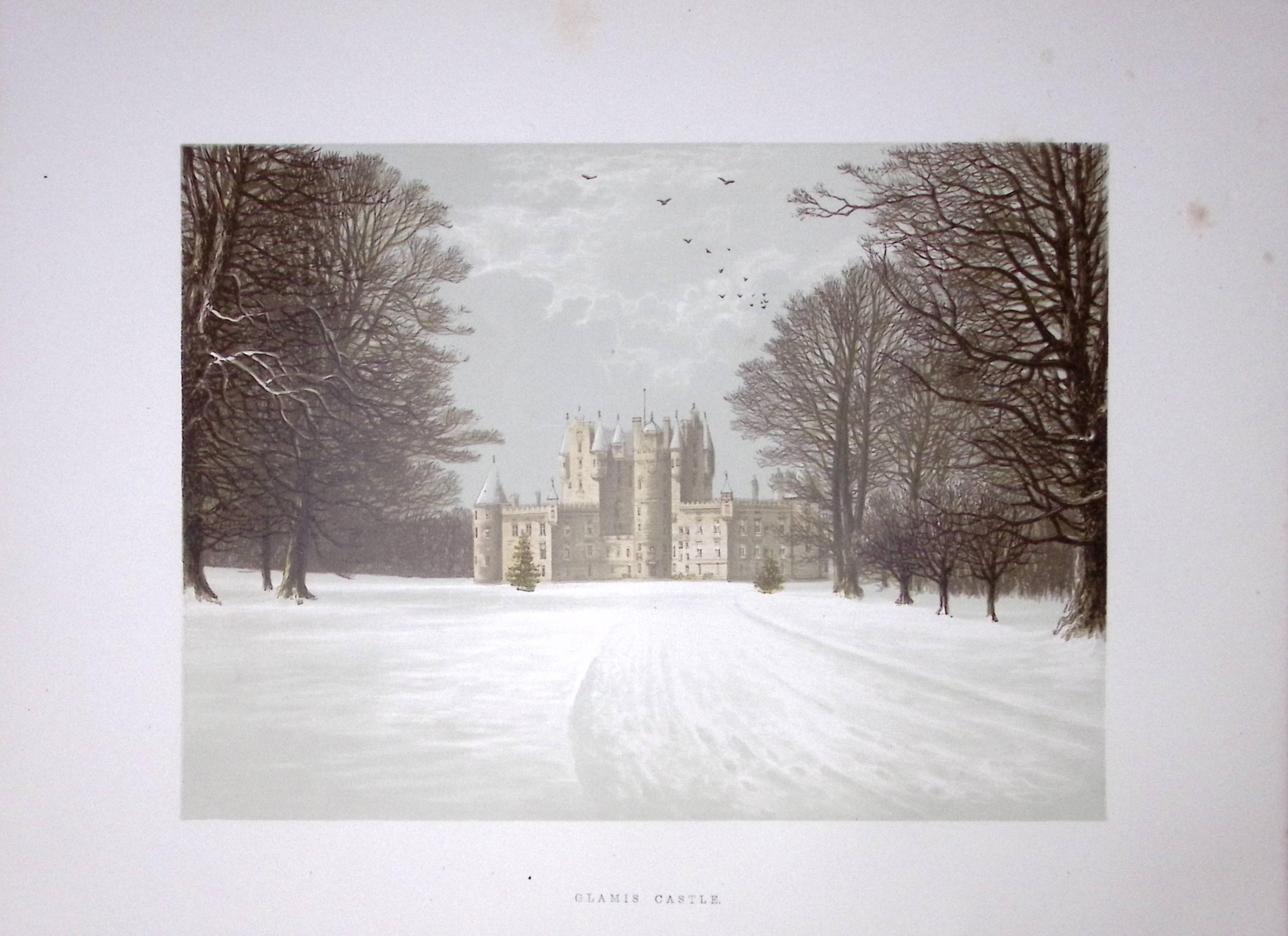 Glamis Castle Scotland 160 Years-Old Gilt-Edge Coloured Antique Book Plate-1