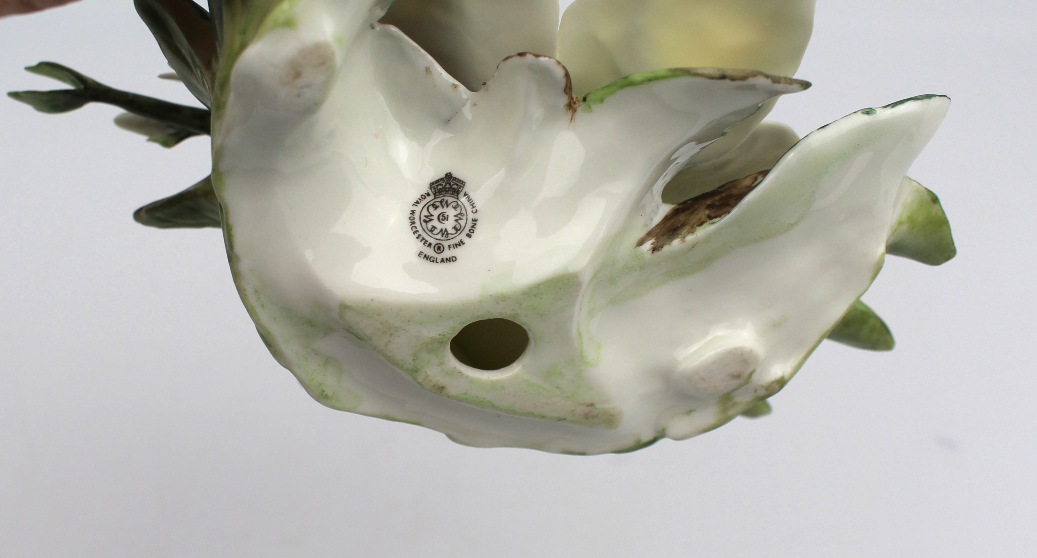 Royal Worcester Flower Hibiscus & Edelweiss